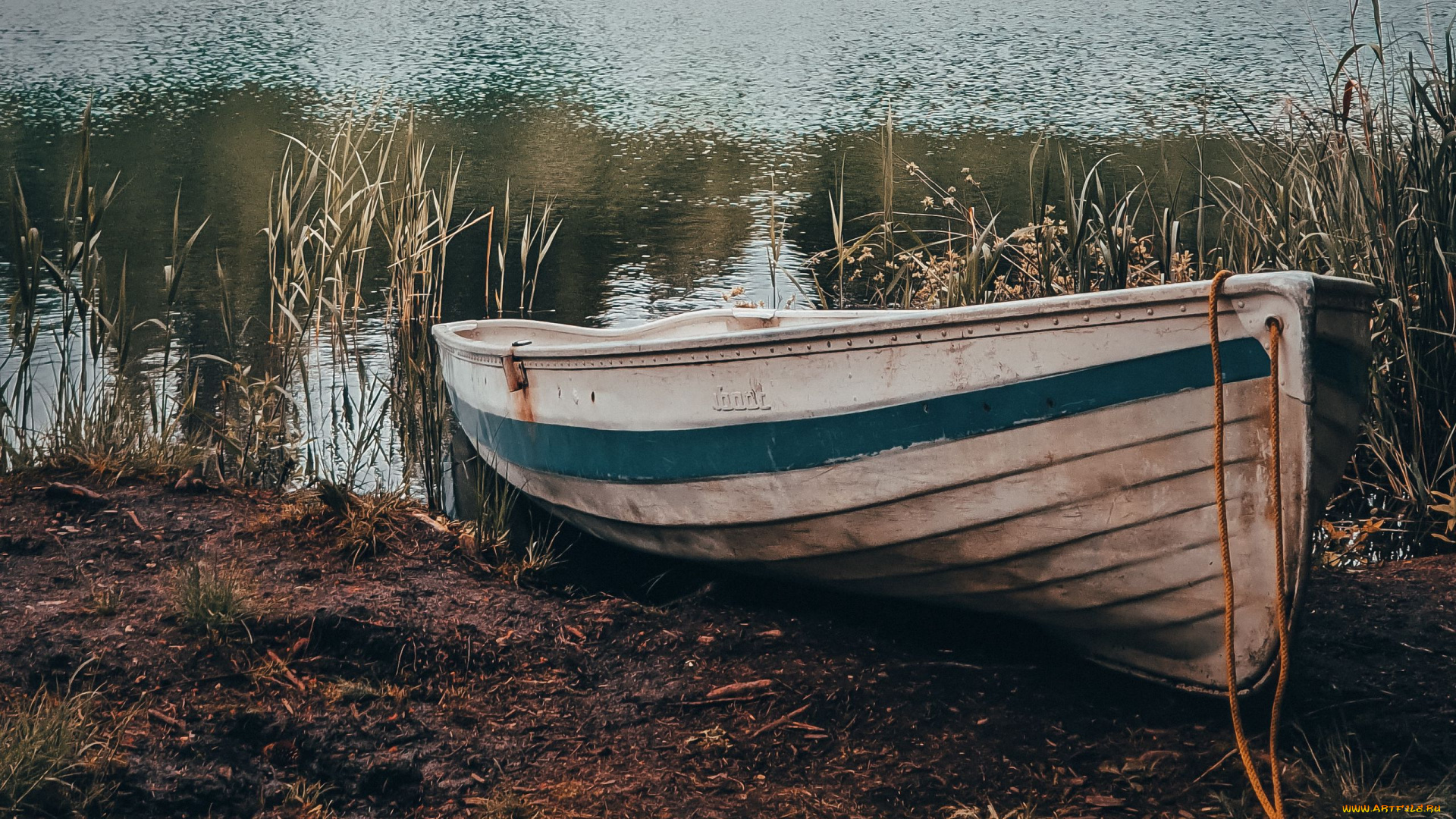 корабли, лодки, , шлюпки, камыши, лодка, река