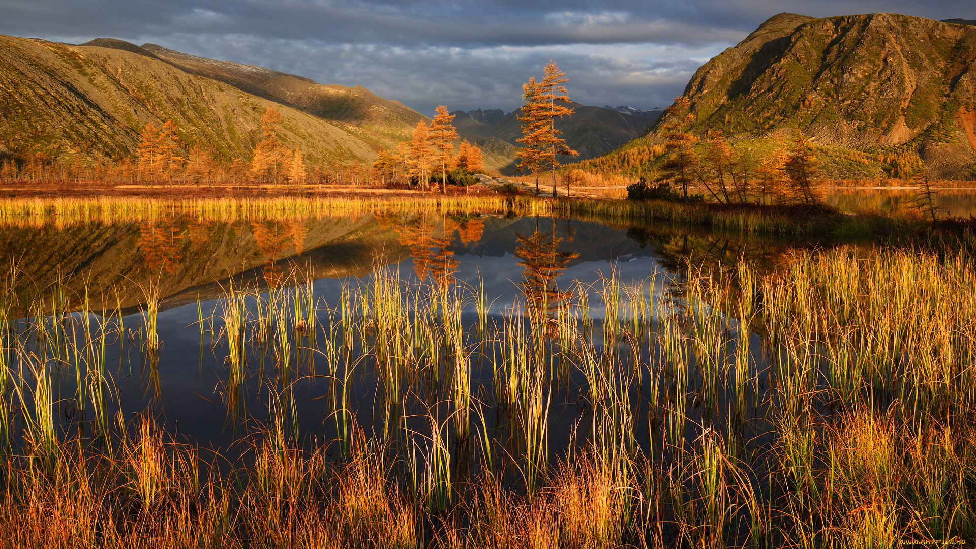 озеро, джека, лондона, россия, природа, реки, озера, озеро, джека, лондона, россия