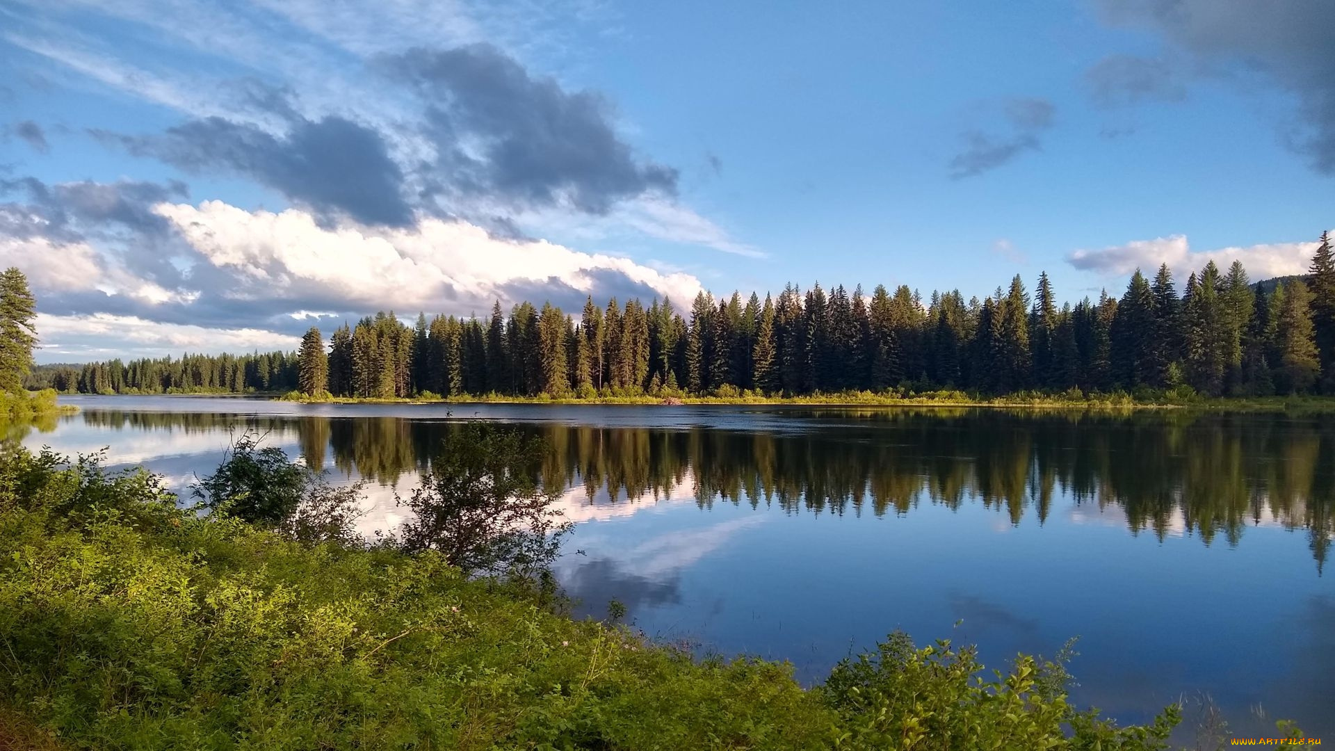 beaver`s, lake, montana, природа, реки, озера, beaver's, lake