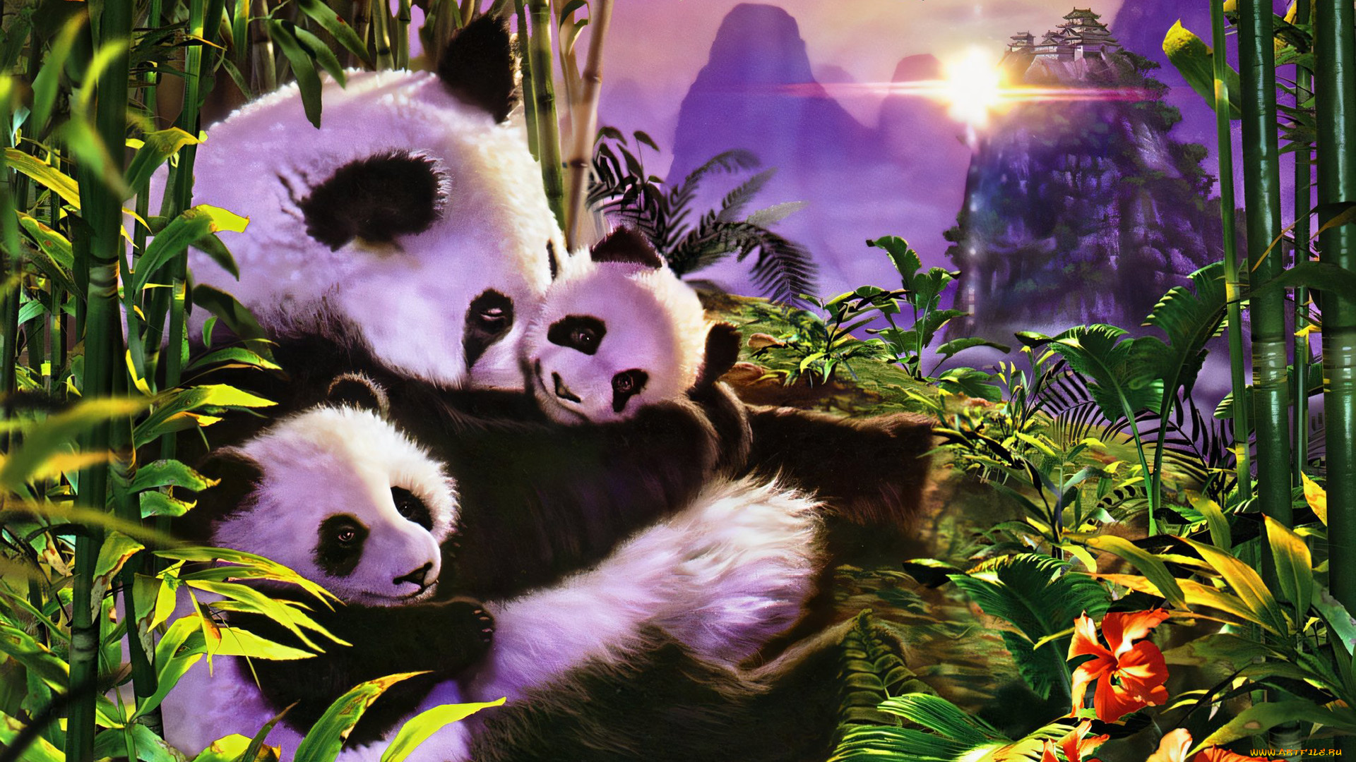 295783, рисованное, животные, , панды, панда