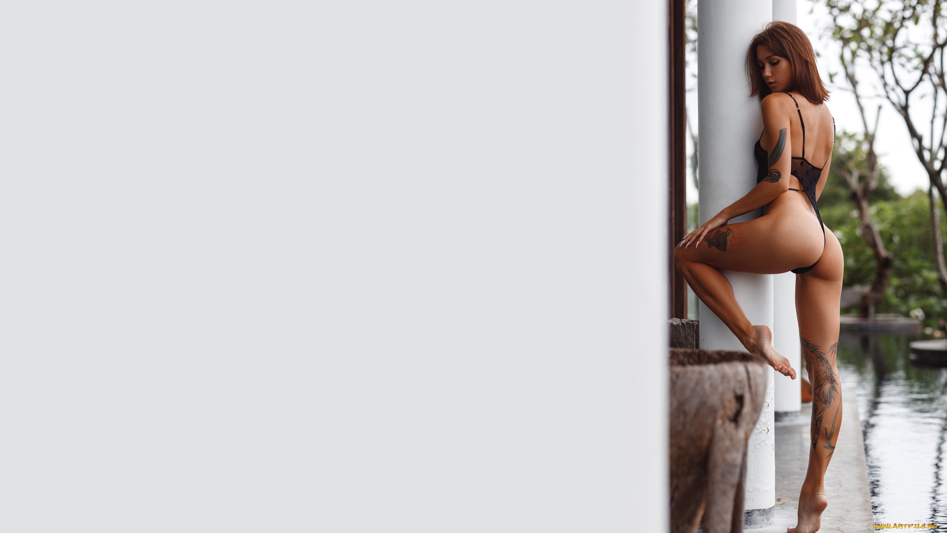 девушки, -, брюнетки, , шатенки, девушка, позирует, степан, квардаков