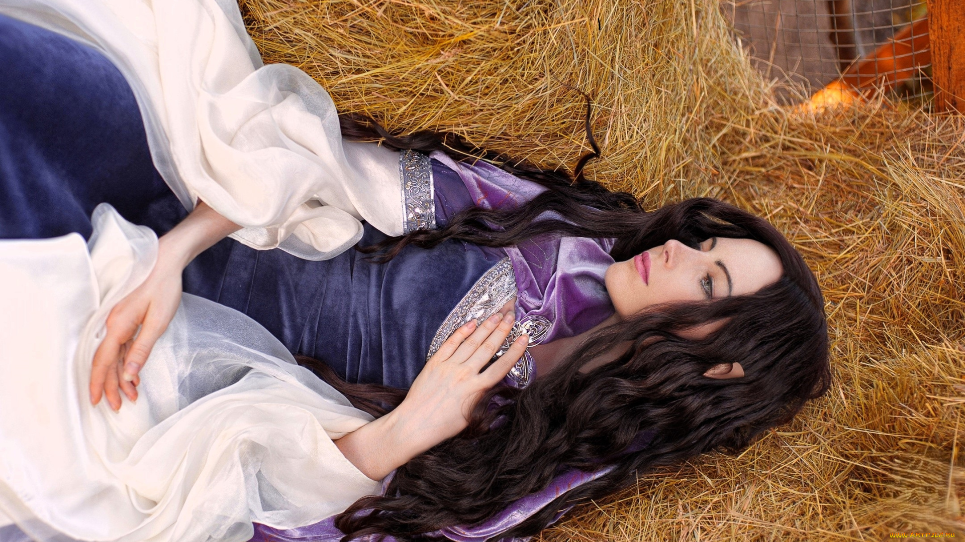 девушки, -, креатив, , косплей, шатенка, платье, наряд, косплей, сено