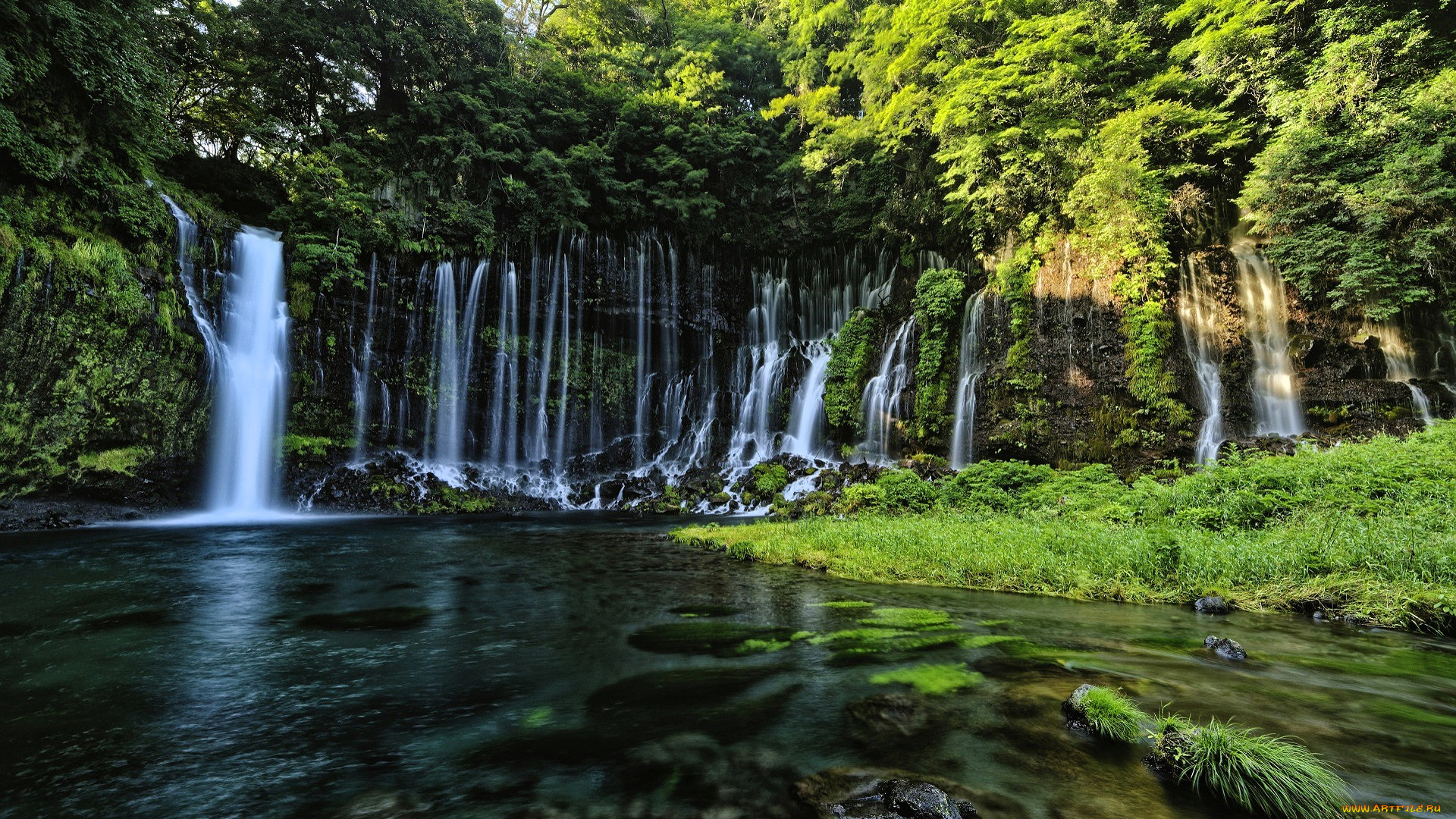 природа, водопады, лес, водопад, река
