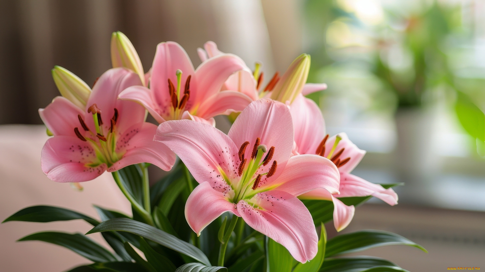 3д, графика, цветы, , flowers, лилии