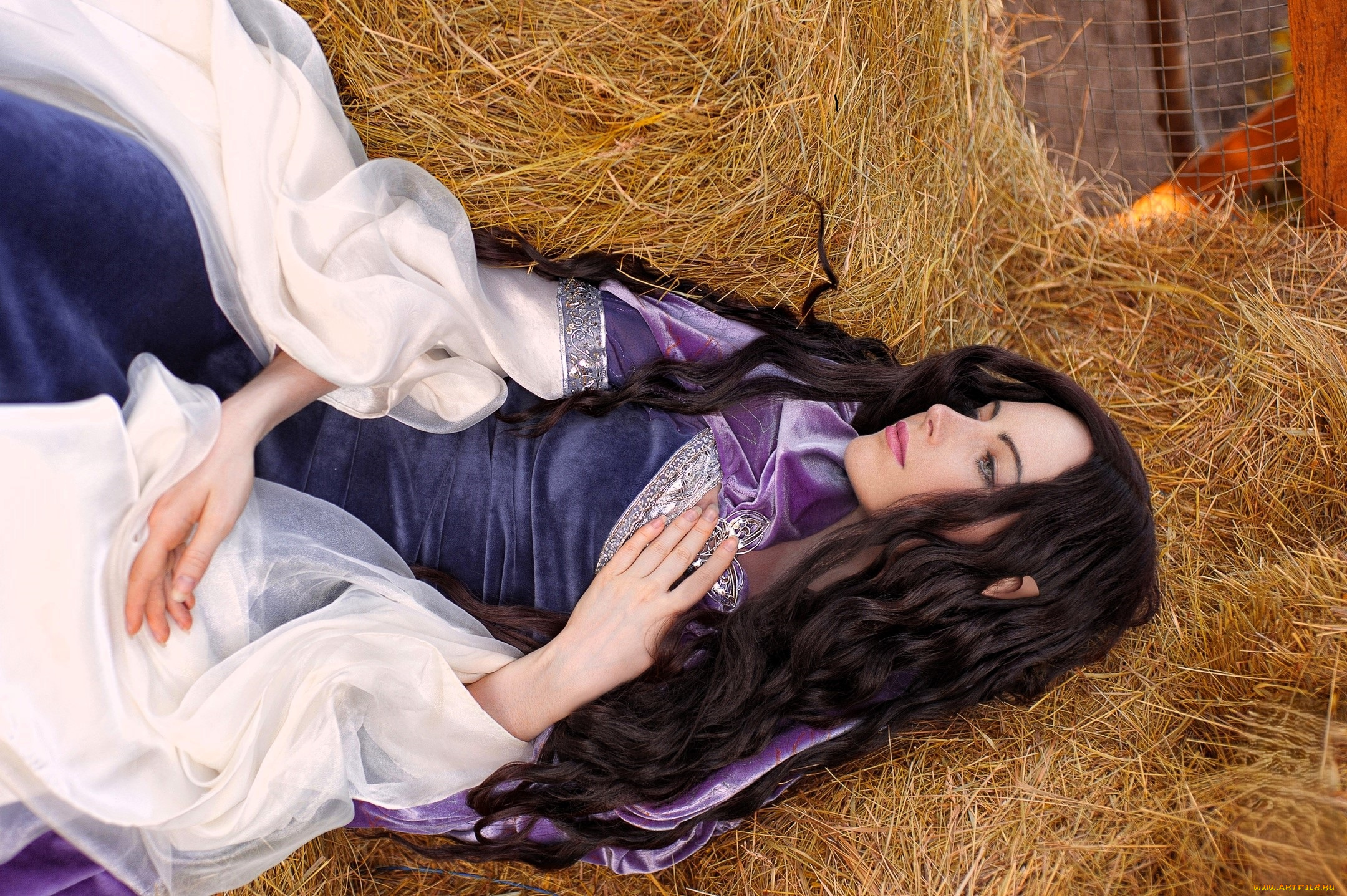 девушки, -, креатив, , косплей, шатенка, платье, наряд, косплей, сено