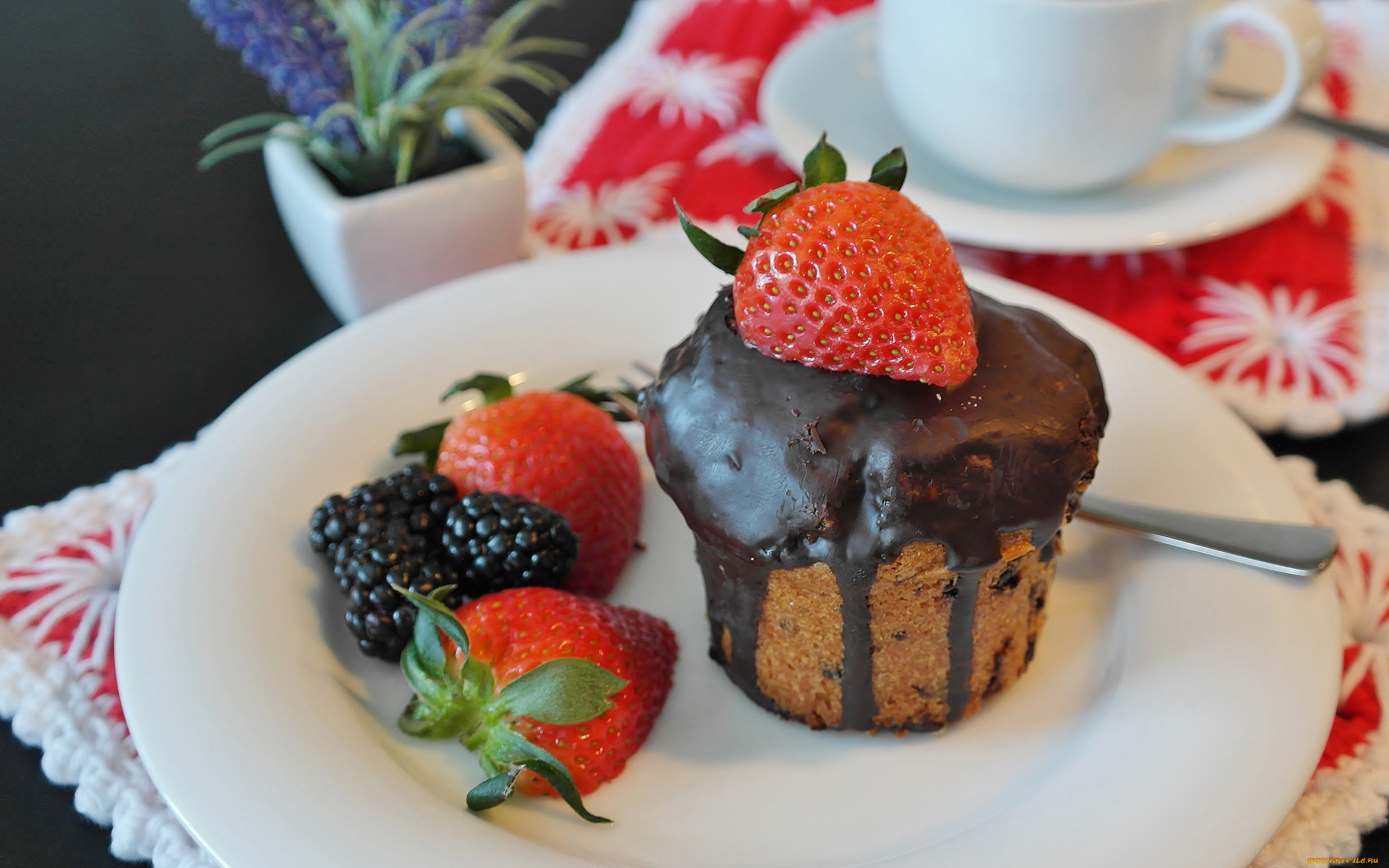 еда, пирожные, , кексы, , печенье, ягоды, кекс, шоколадная, глазурь, ежевика, клубника