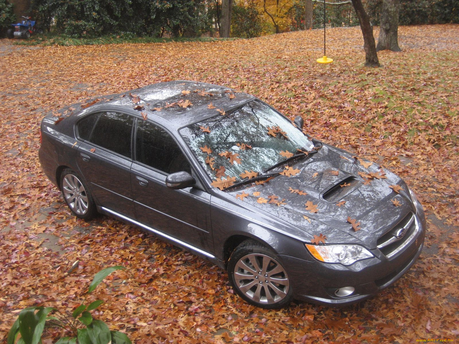 subaru, legacy, автомобили