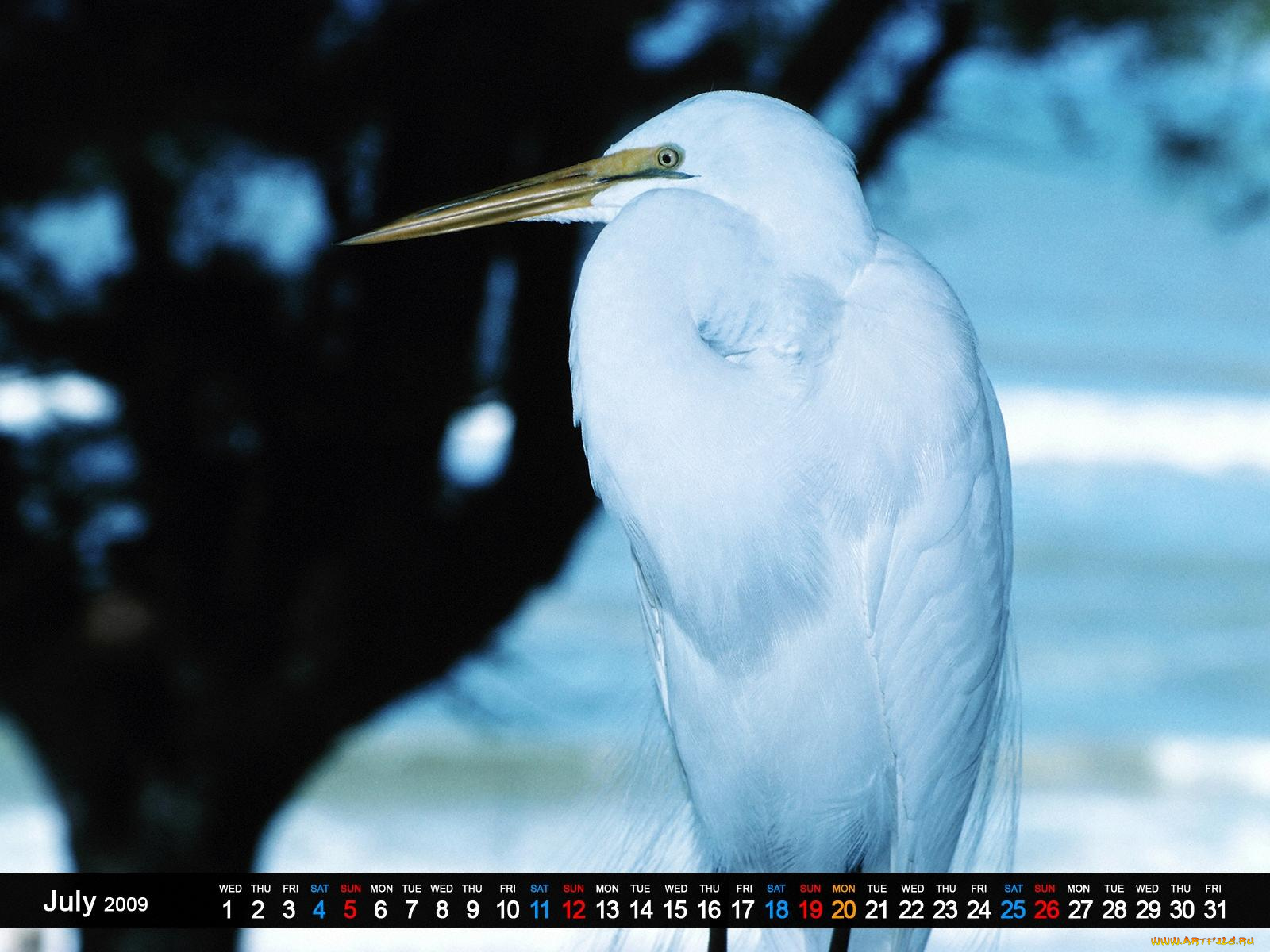 календари, животные