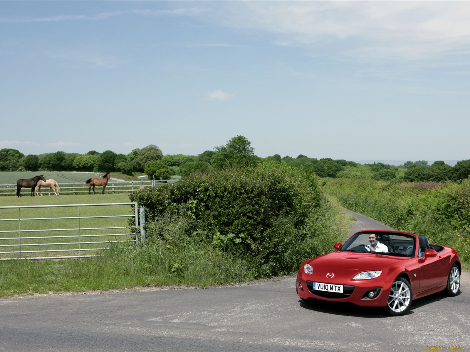 автомобили, mazda