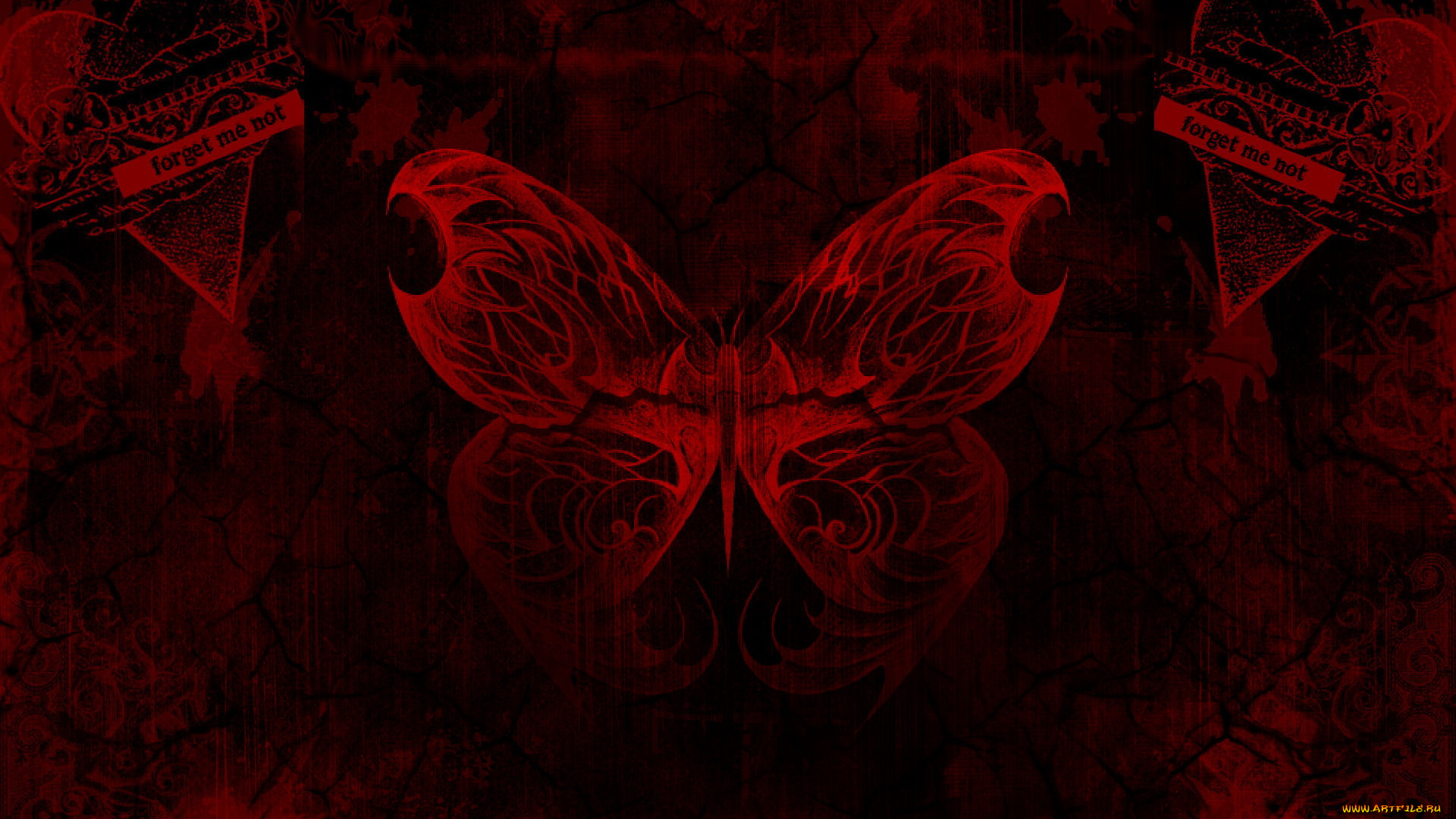 векторная, графика, бабочка