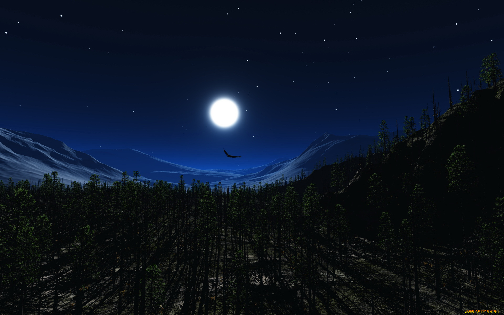 3д, графика, nature, landscape, природа, лес, луна, ночь