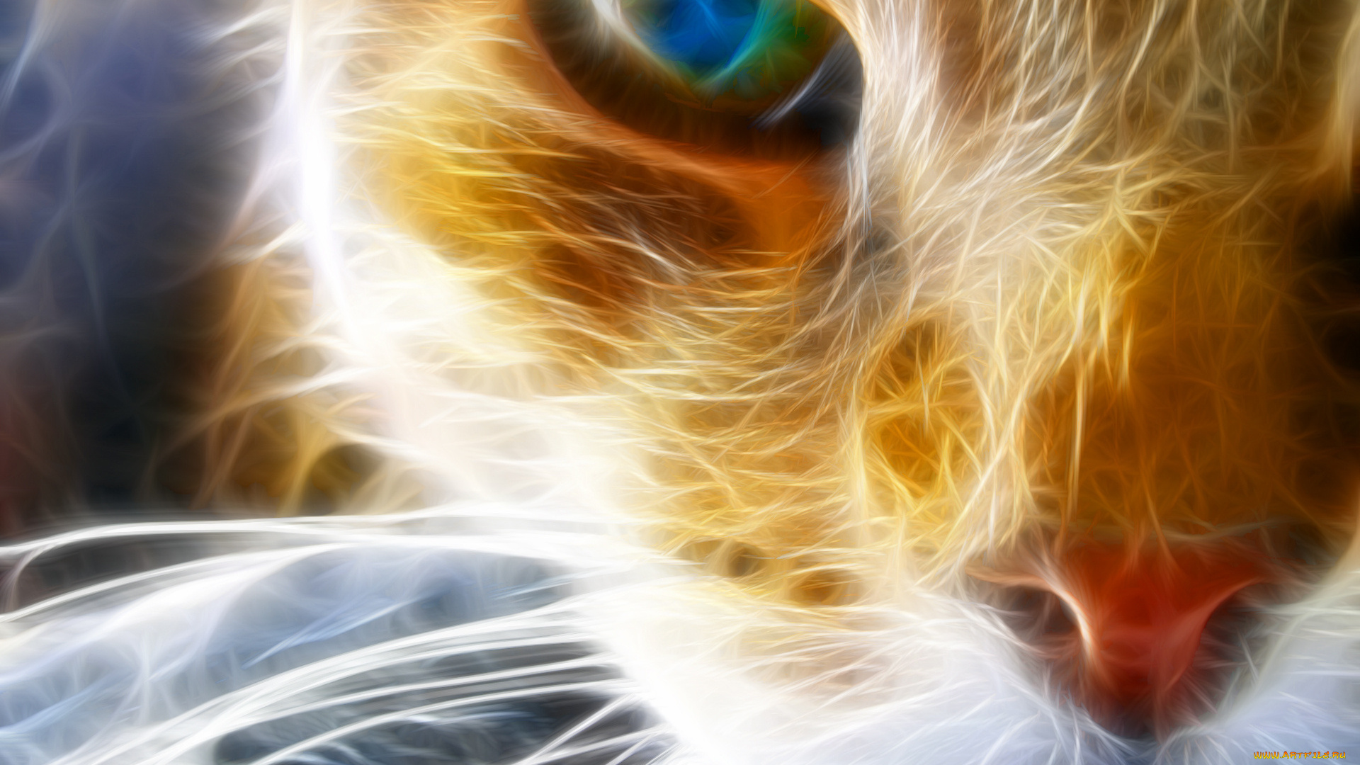 3д, графика, animals, животные, кот