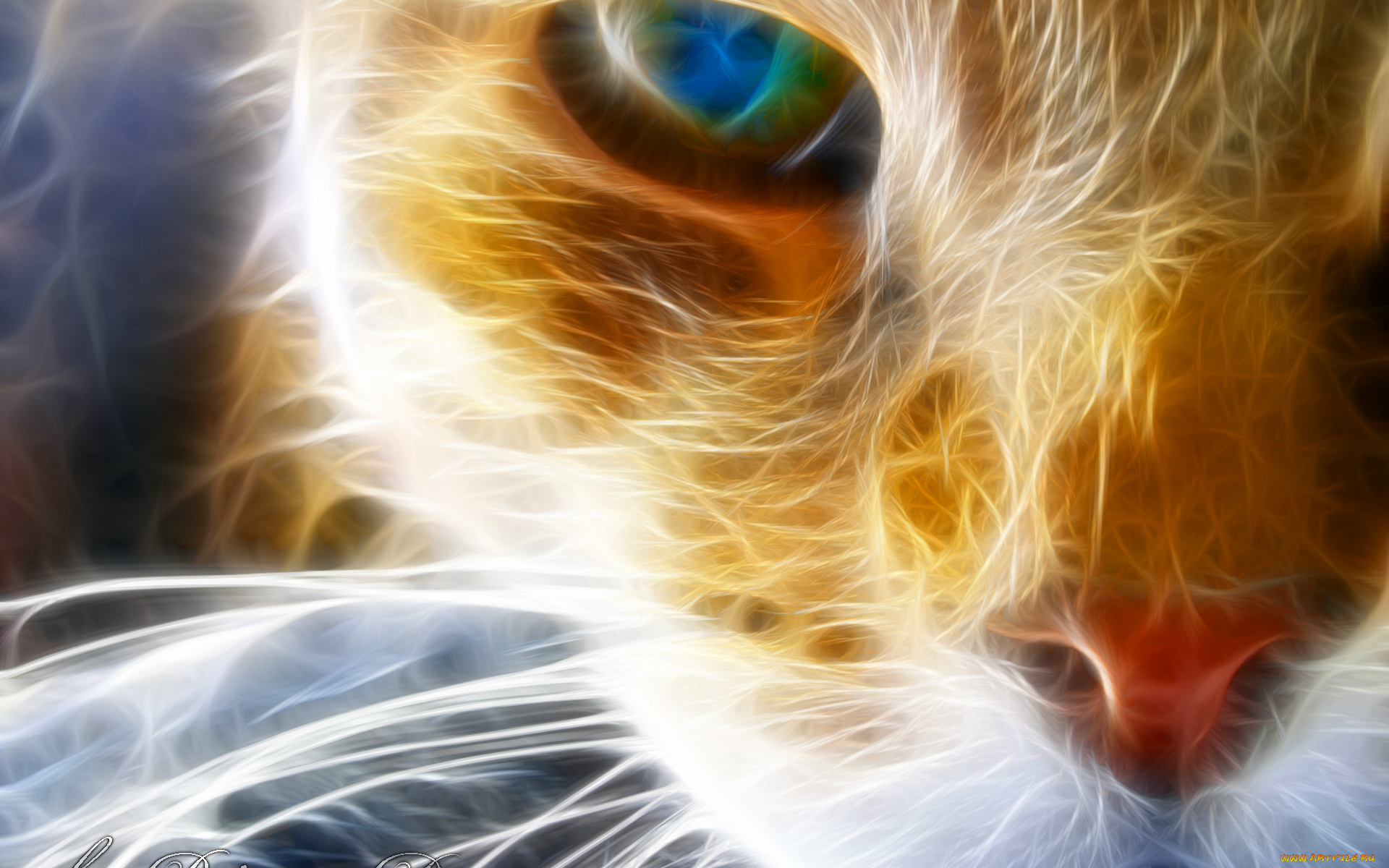 3д, графика, animals, животные, кот