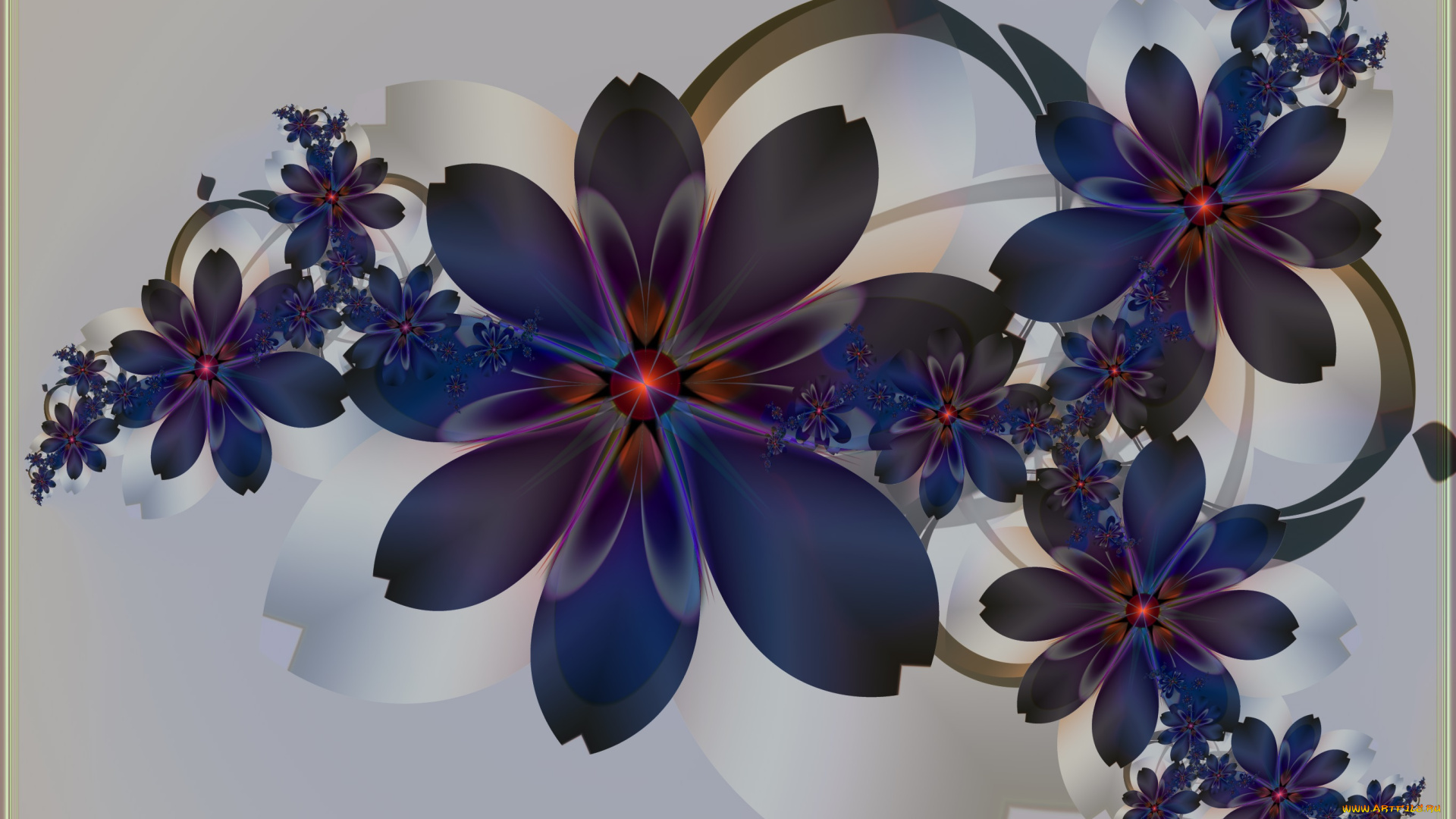 3д, графика, цветы, , flowers, лепестки, цвета, фон, узор