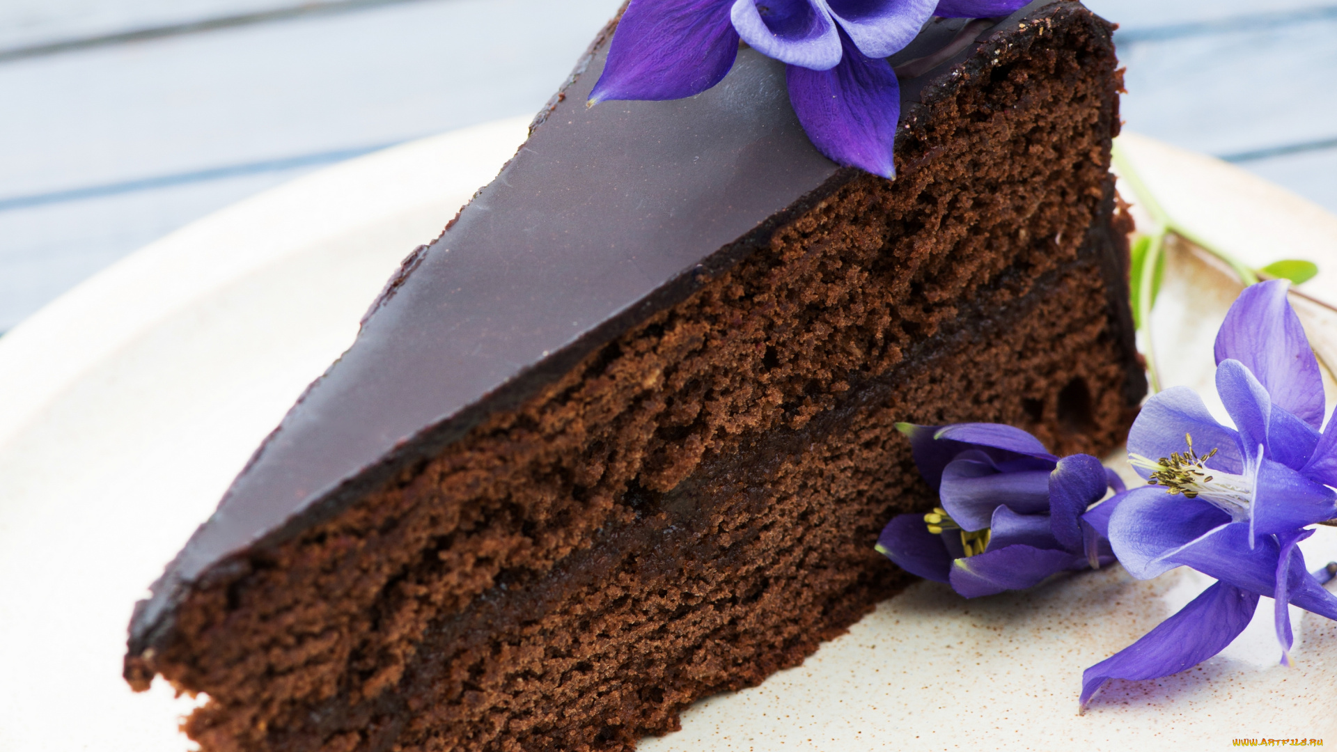 еда, торты, тортик, цветы