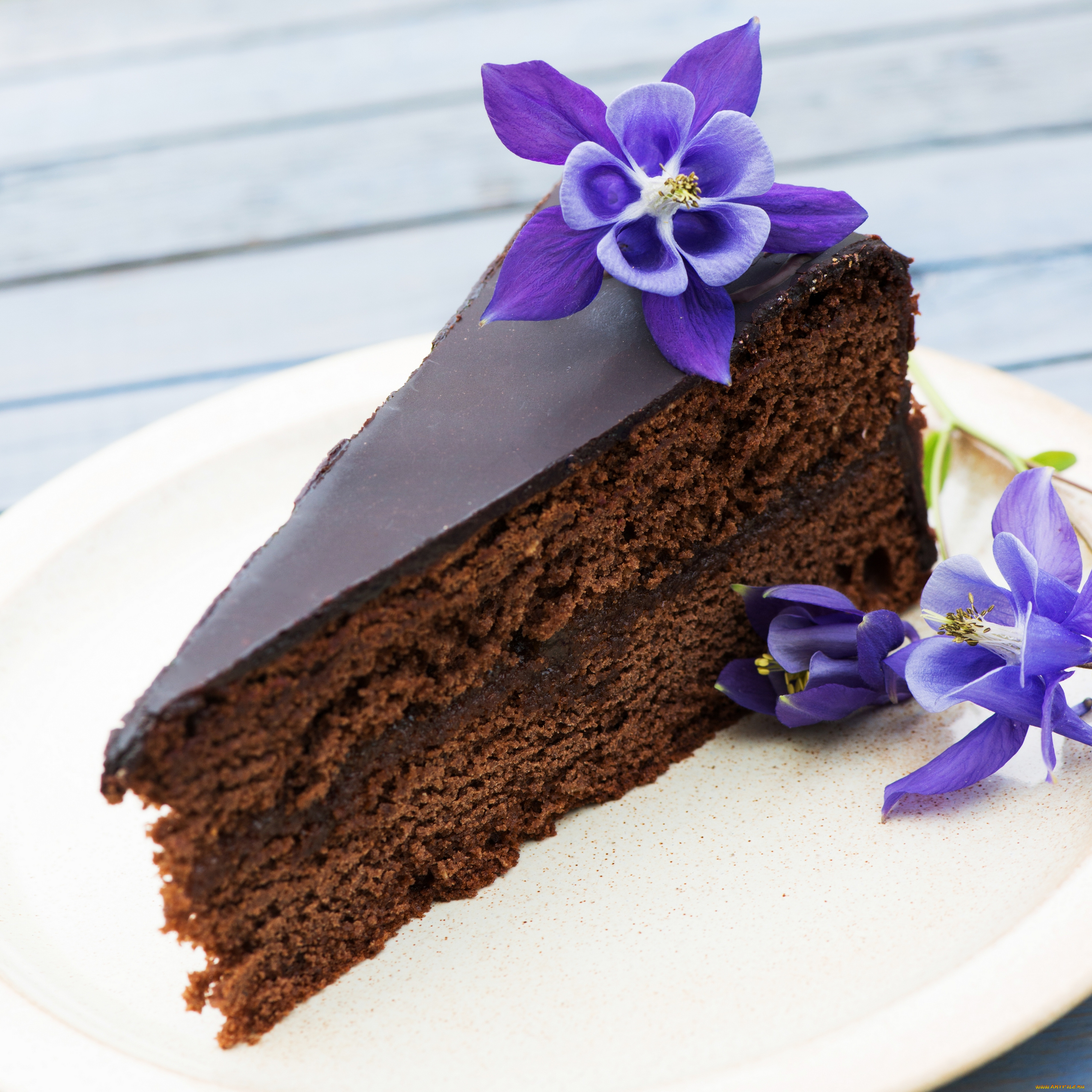 еда, торты, тортик, цветы