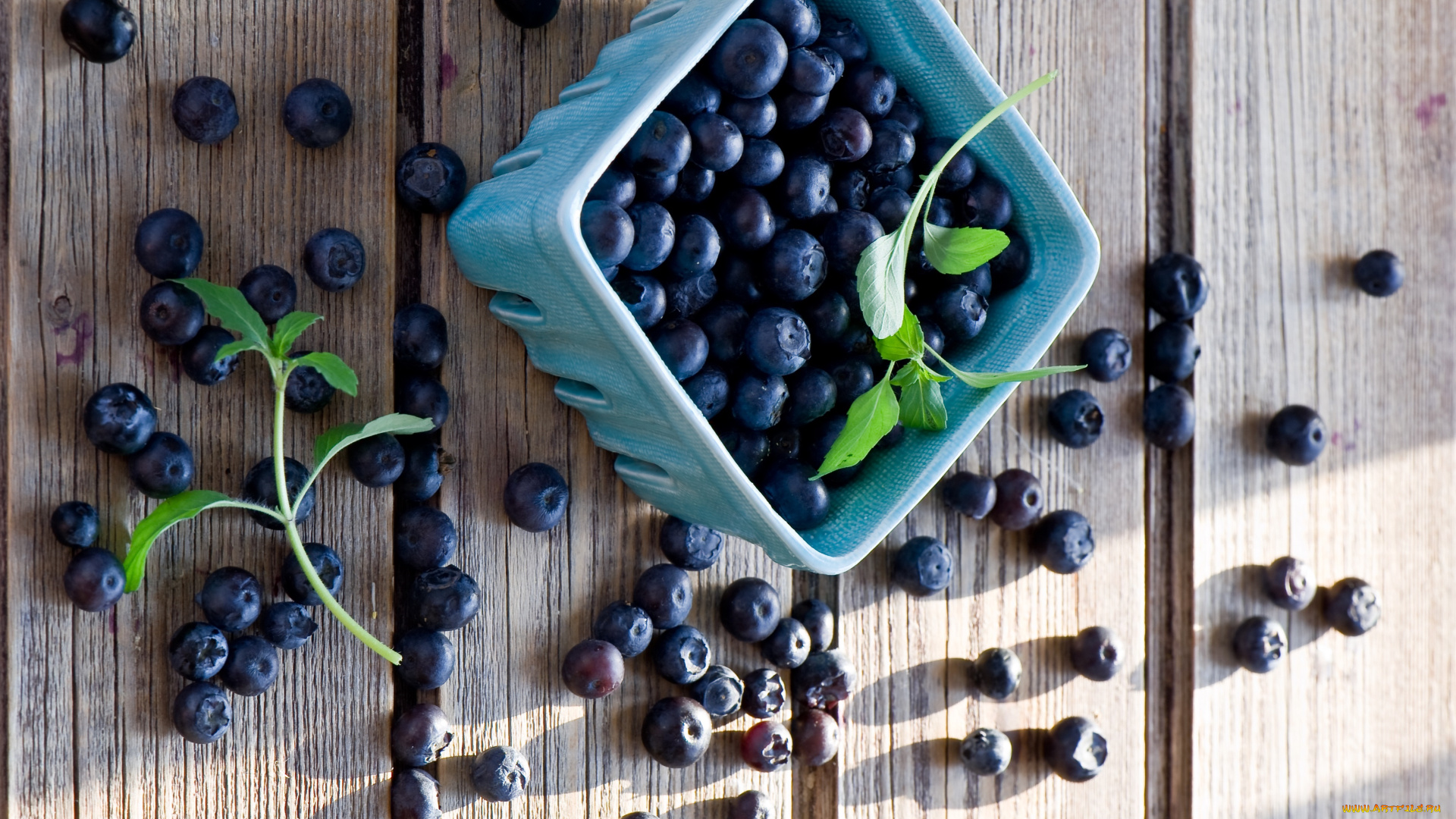 еда, голубика, , черника, ягоды, миска