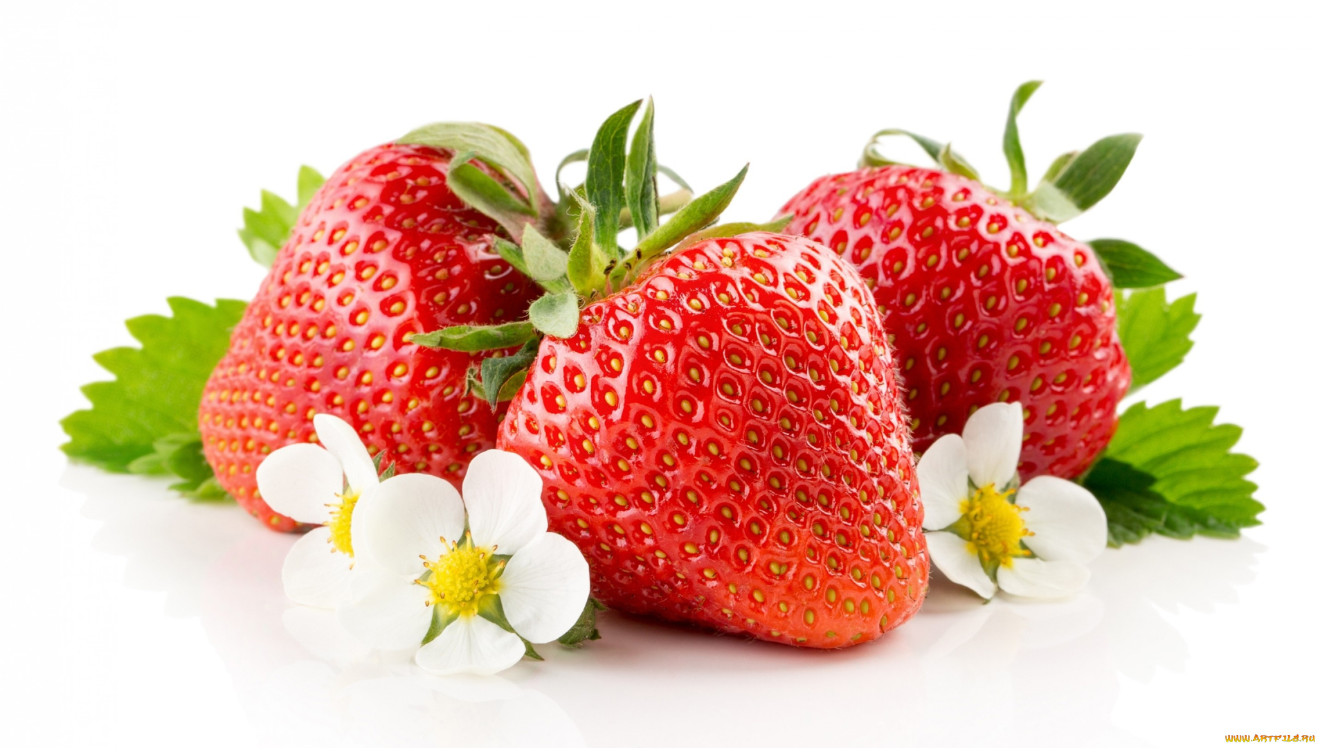 еда, клубника, , земляника, листья, цветки, ягоды, макро