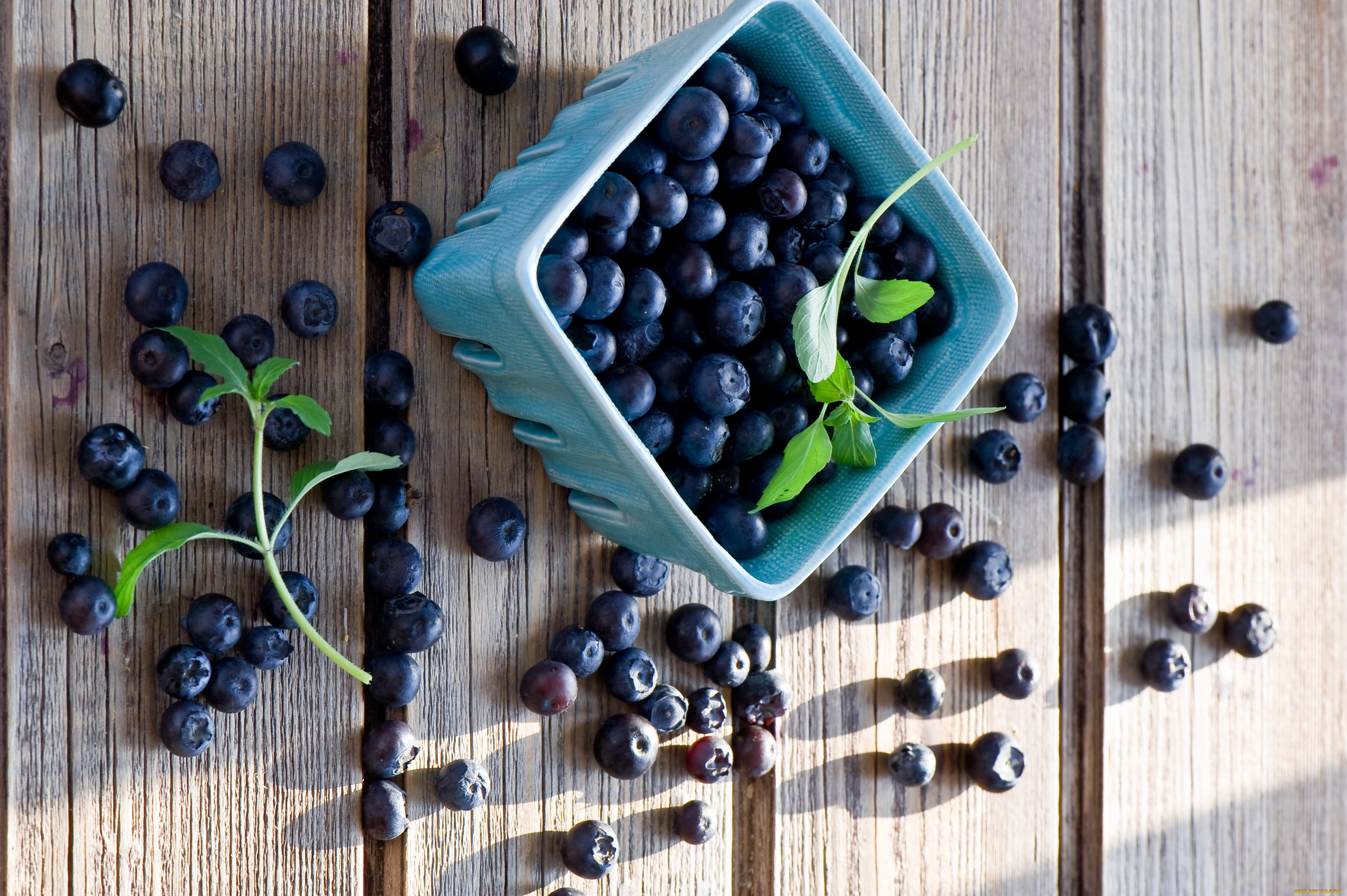 еда, голубика, , черника, ягоды, миска