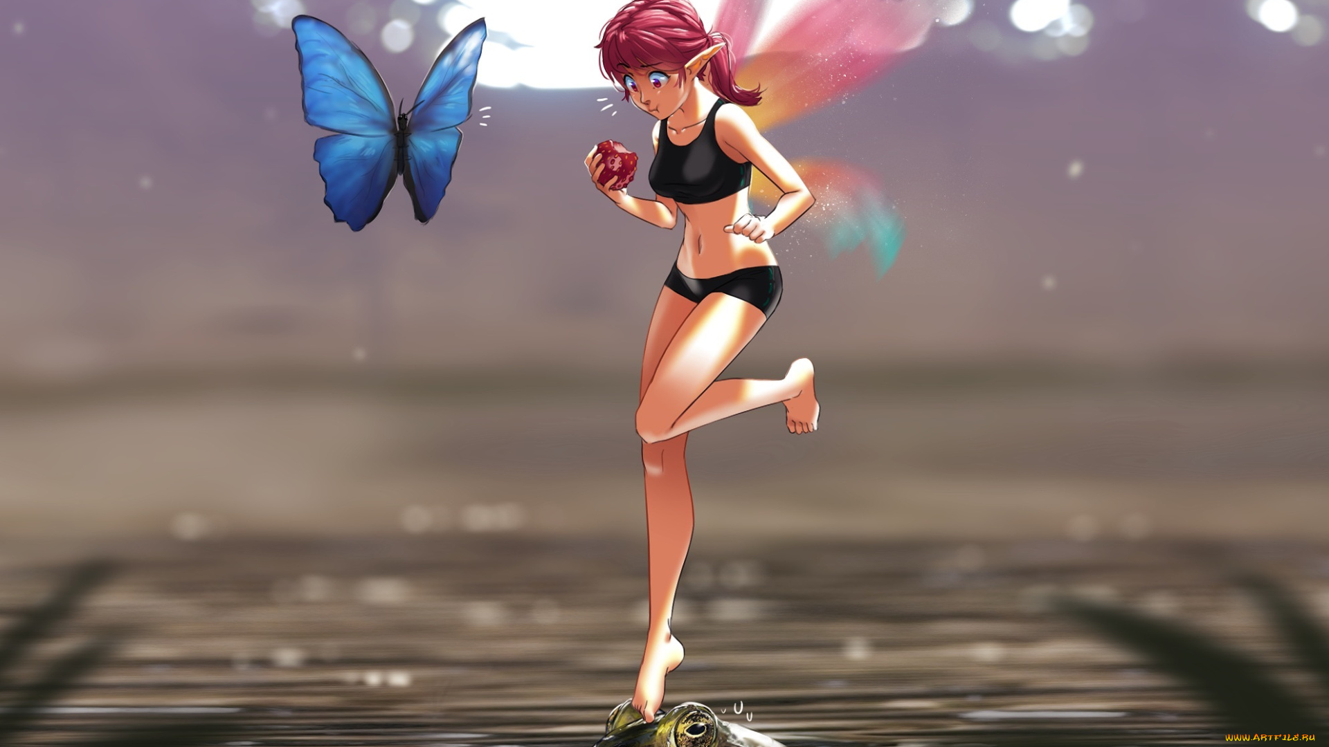 аниме, животные, , существа, бабочка, лягушка, фея