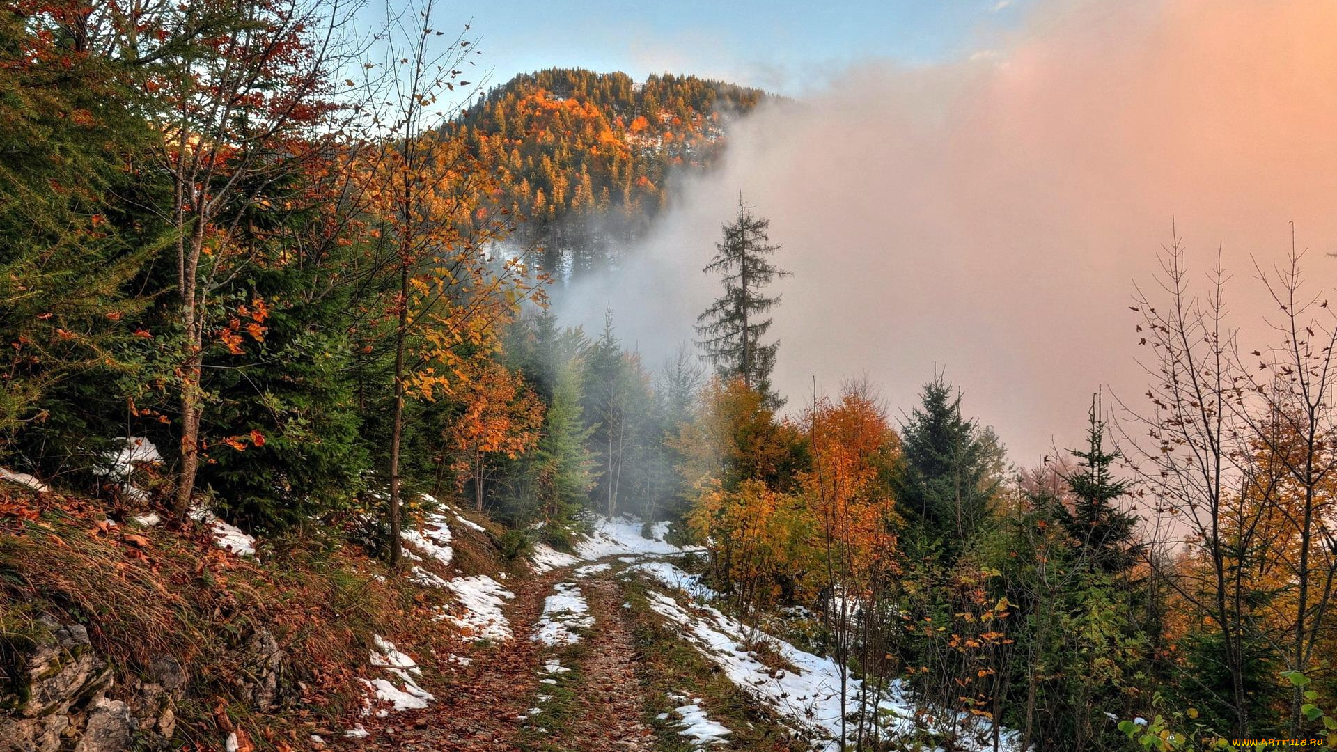 природа, горы, облако, дорога, деревья, осень