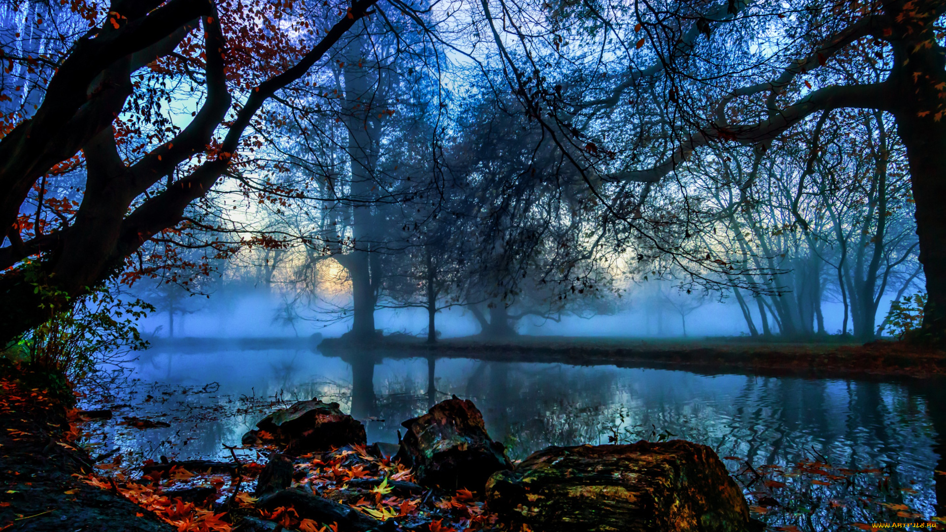 природа, реки, озера, туман, деревья, ветки, листья, камни, речка, осень, morden, hall, park, англия, лондон