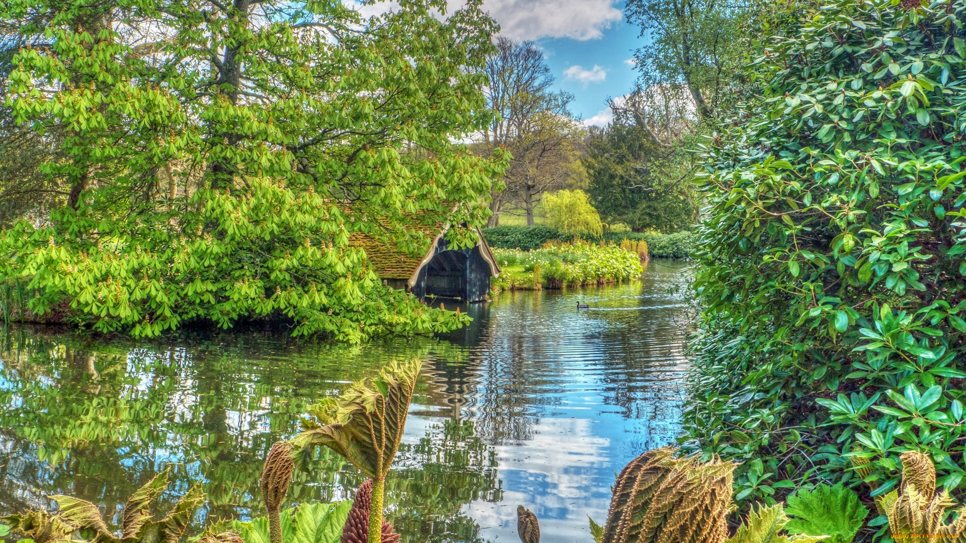 англия, природа, парк, постройка, деревья, водоем, облака