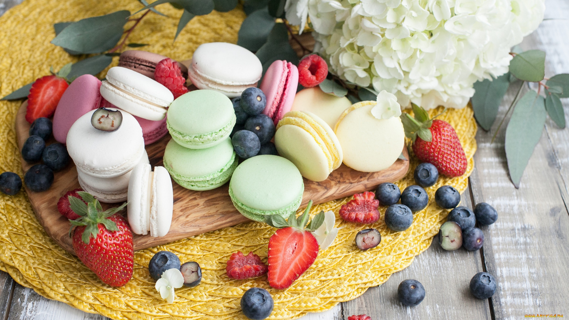еда, макаруны, пирожное, сладость, цветок, ягоды