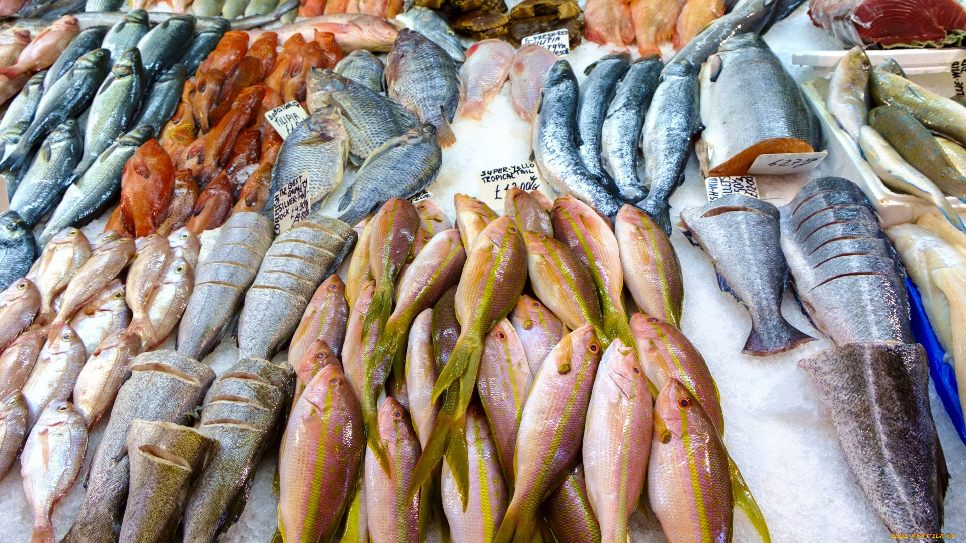 еда, рыба, , морепродукты, , суши, , роллы, fish, frozen, meat, variety