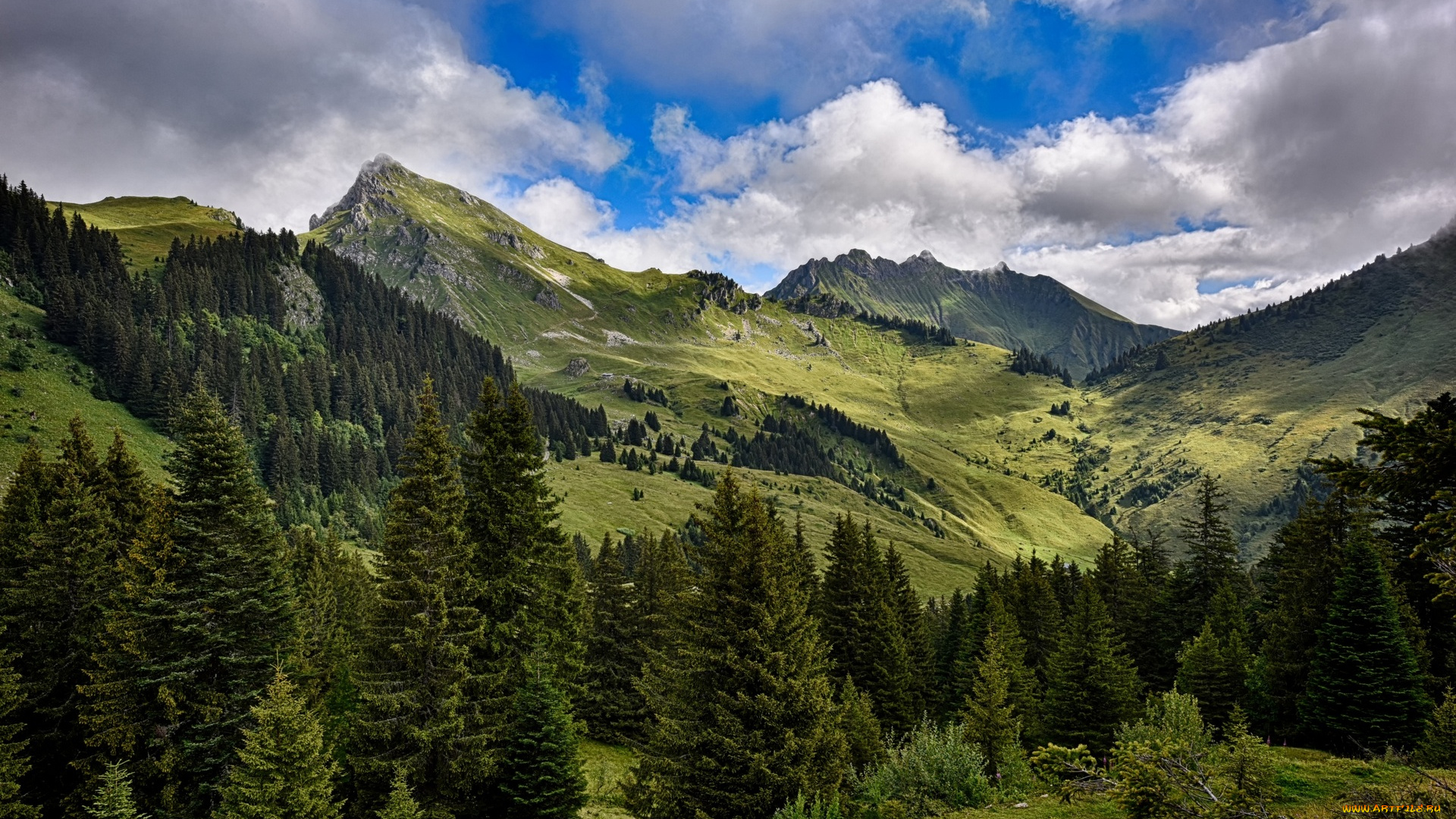 франция, природа, горы, ели, трава, облака