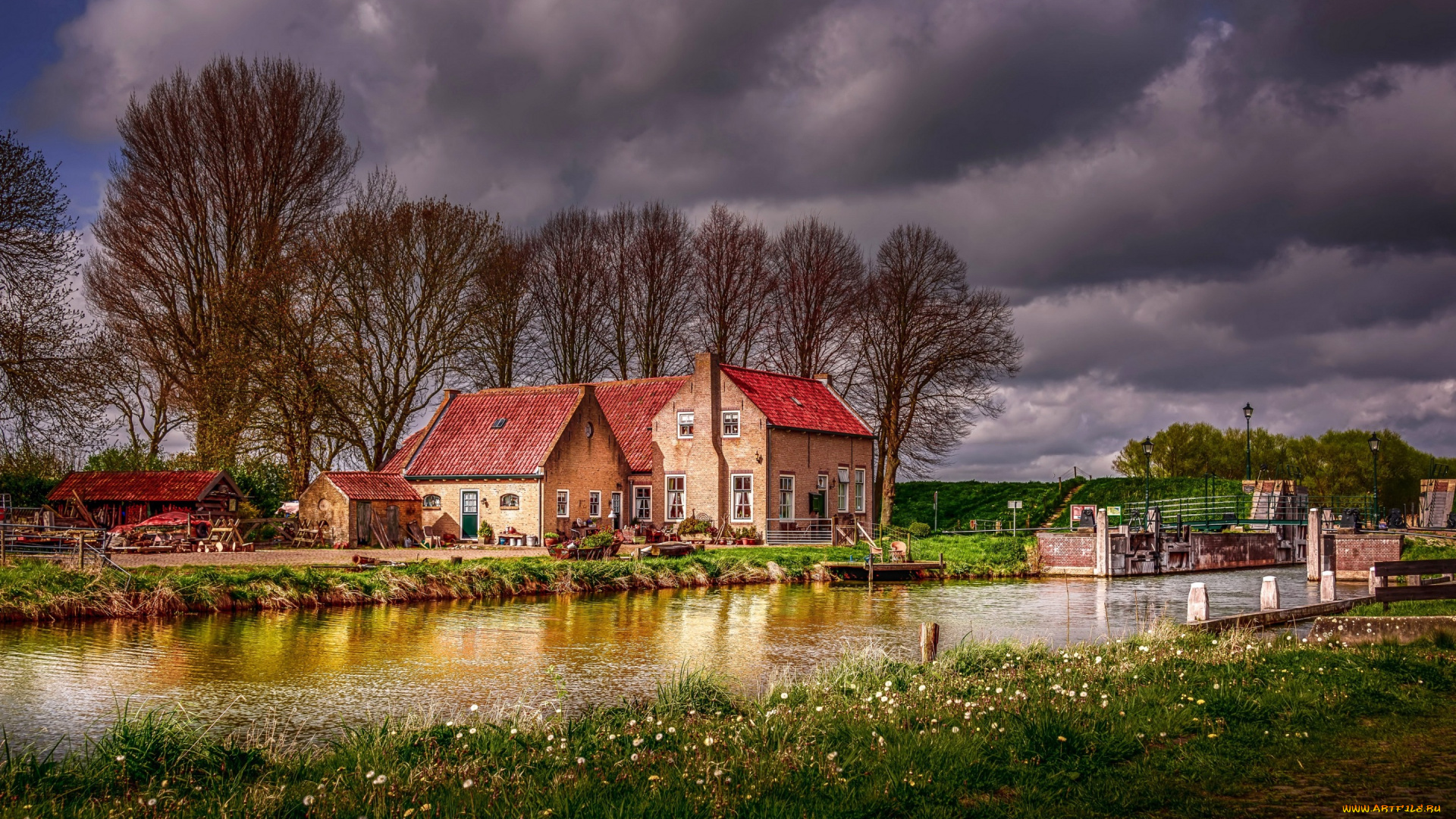 города, -, пейзажи, деревья, дома, природа