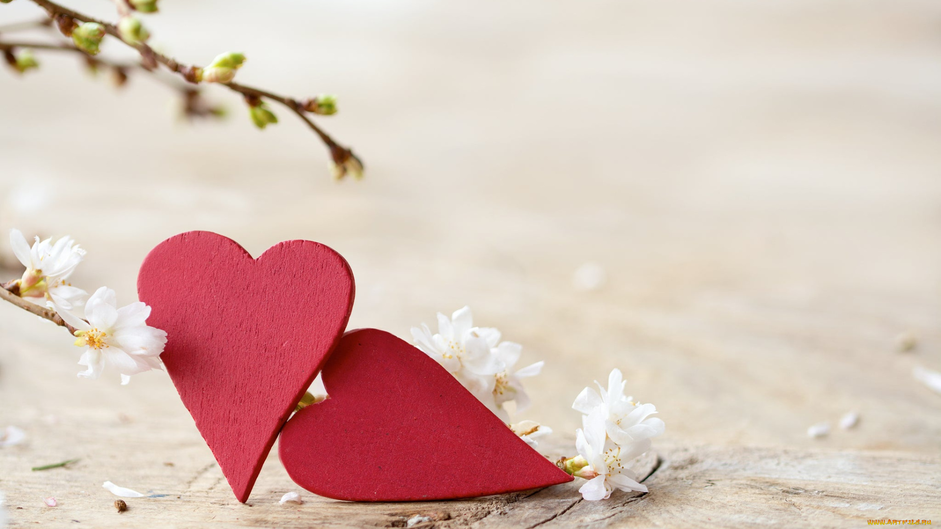 праздничные, день, святого, валентина, , сердечки, , любовь, сердечки, ветки, цветы, весна, почки