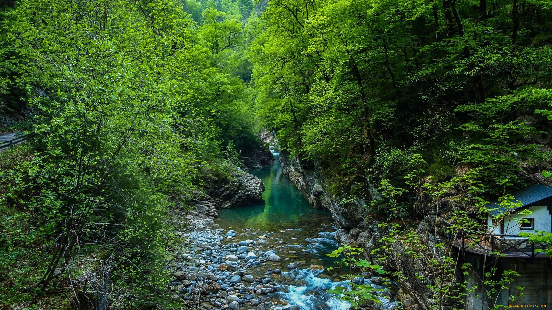 природа, реки, озера, лес, деревья, скалы, речка, камни