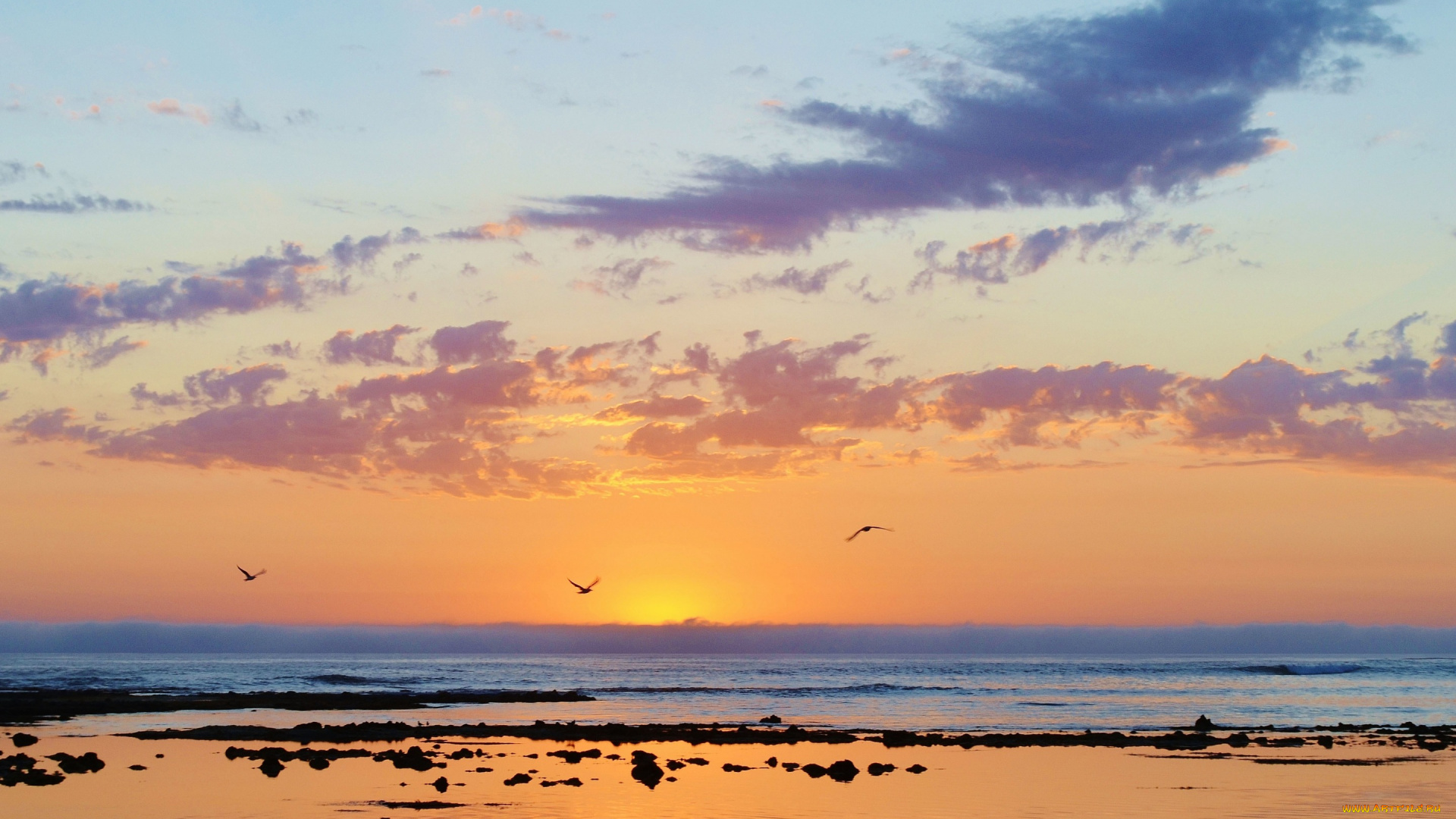 природа, восходы, закаты, камни, зеркало, бассейн, облака, горизонт, восход, птицы, море, чайка, отражение