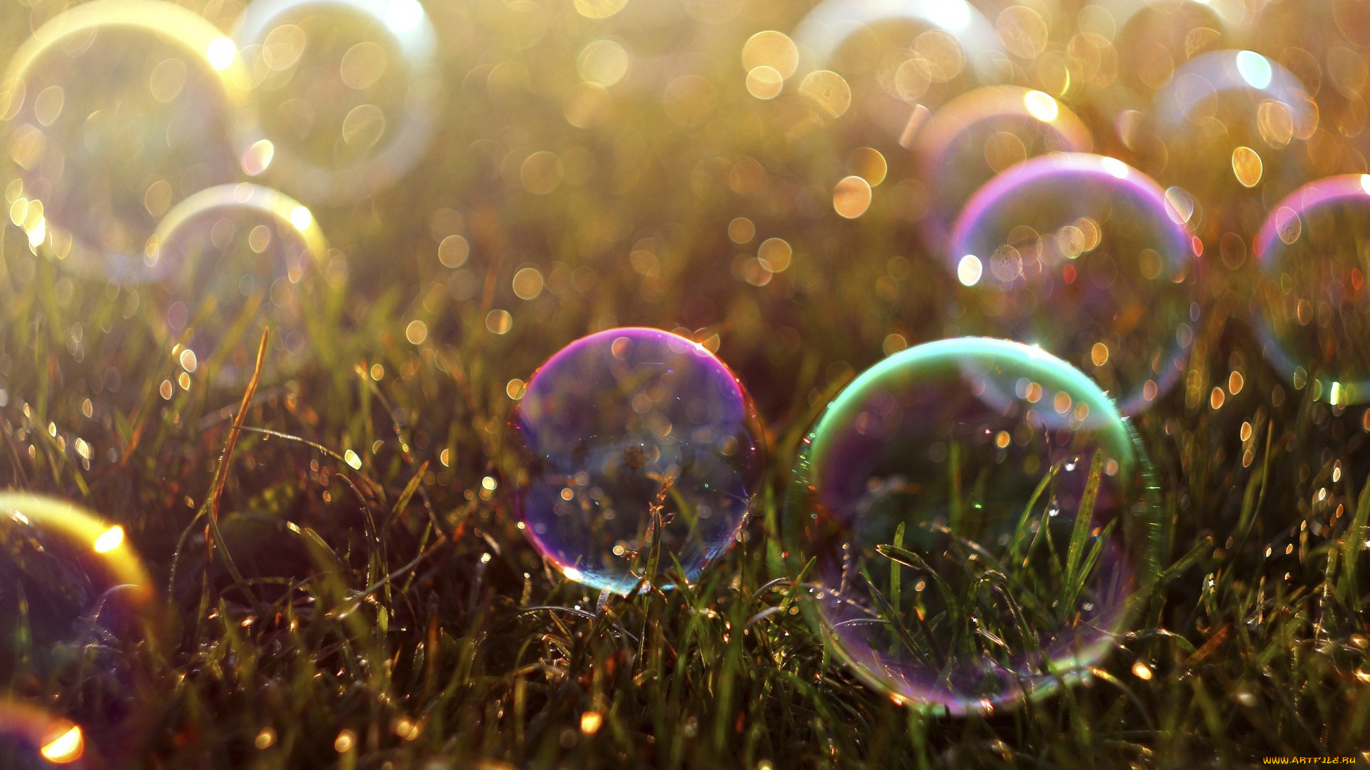 разное, капли, , брызги, , всплески, трава, цветные, мыльные, пузыри, боке