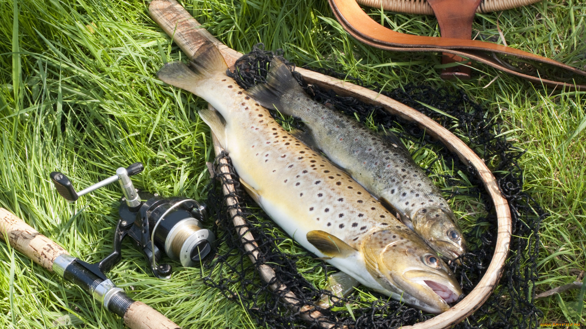 разное, рыбалка, , рыбаки, , улов, , снасти, улов