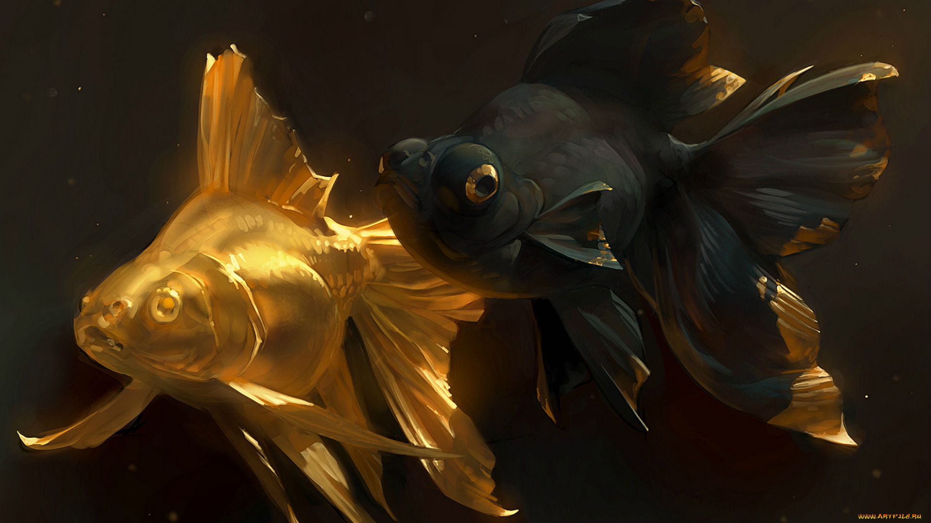 рисованное, животные, , рыбы, золотая, рыбка, golden, fish, арт, парочка