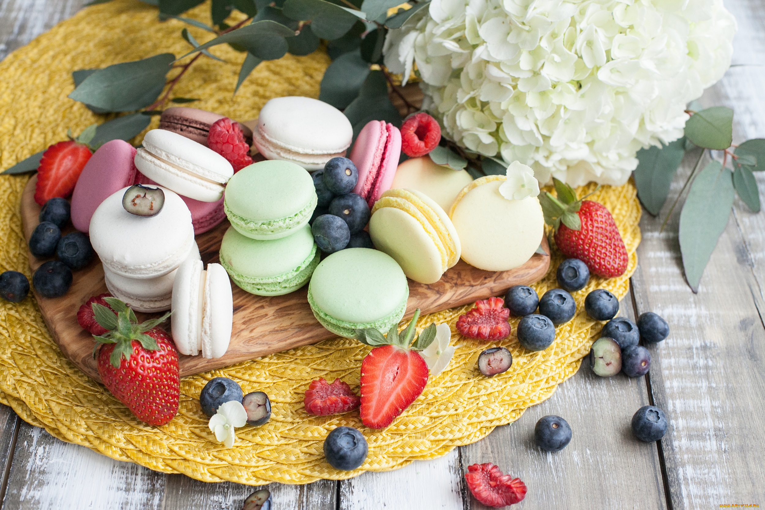 еда, макаруны, пирожное, сладость, цветок, ягоды
