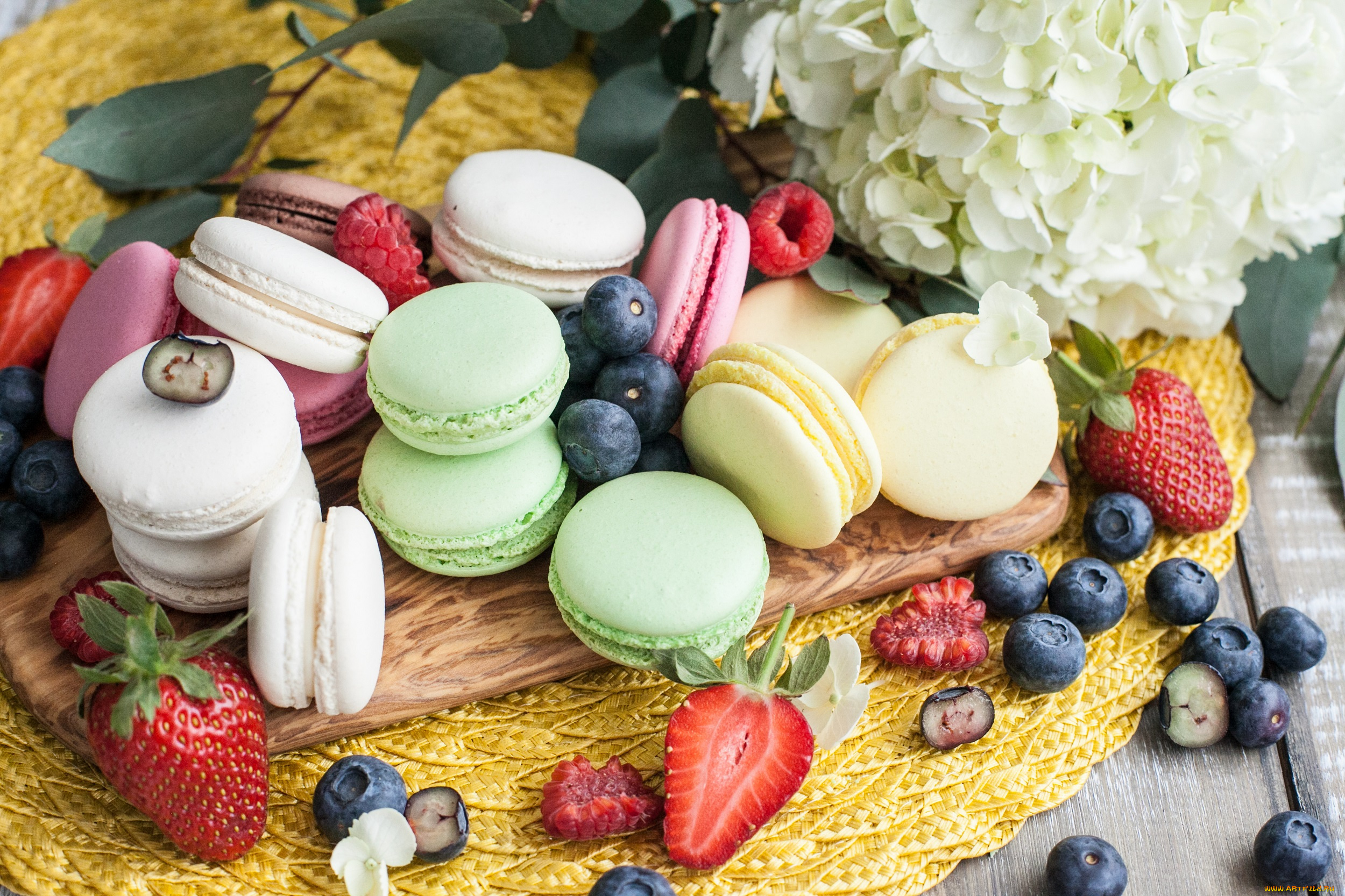 еда, макаруны, пирожное, сладость, цветок, ягоды