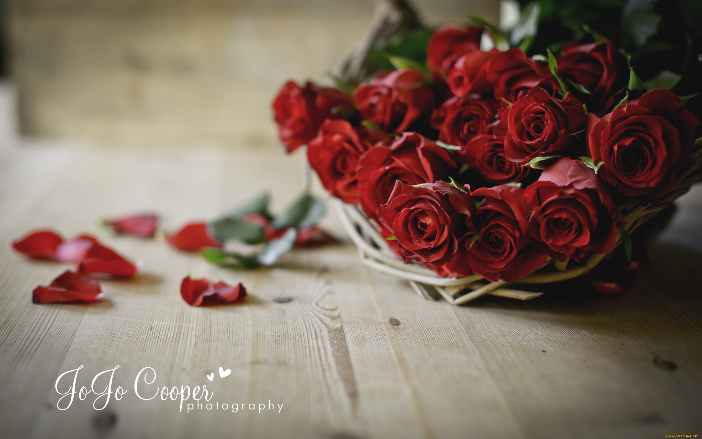 цветы, розы, корзинка, лепестки, доски