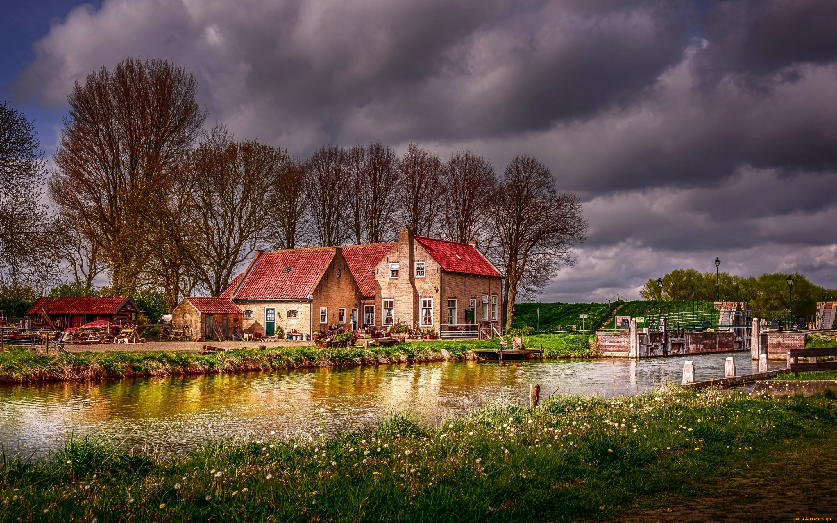 города, -, пейзажи, деревья, дома, природа