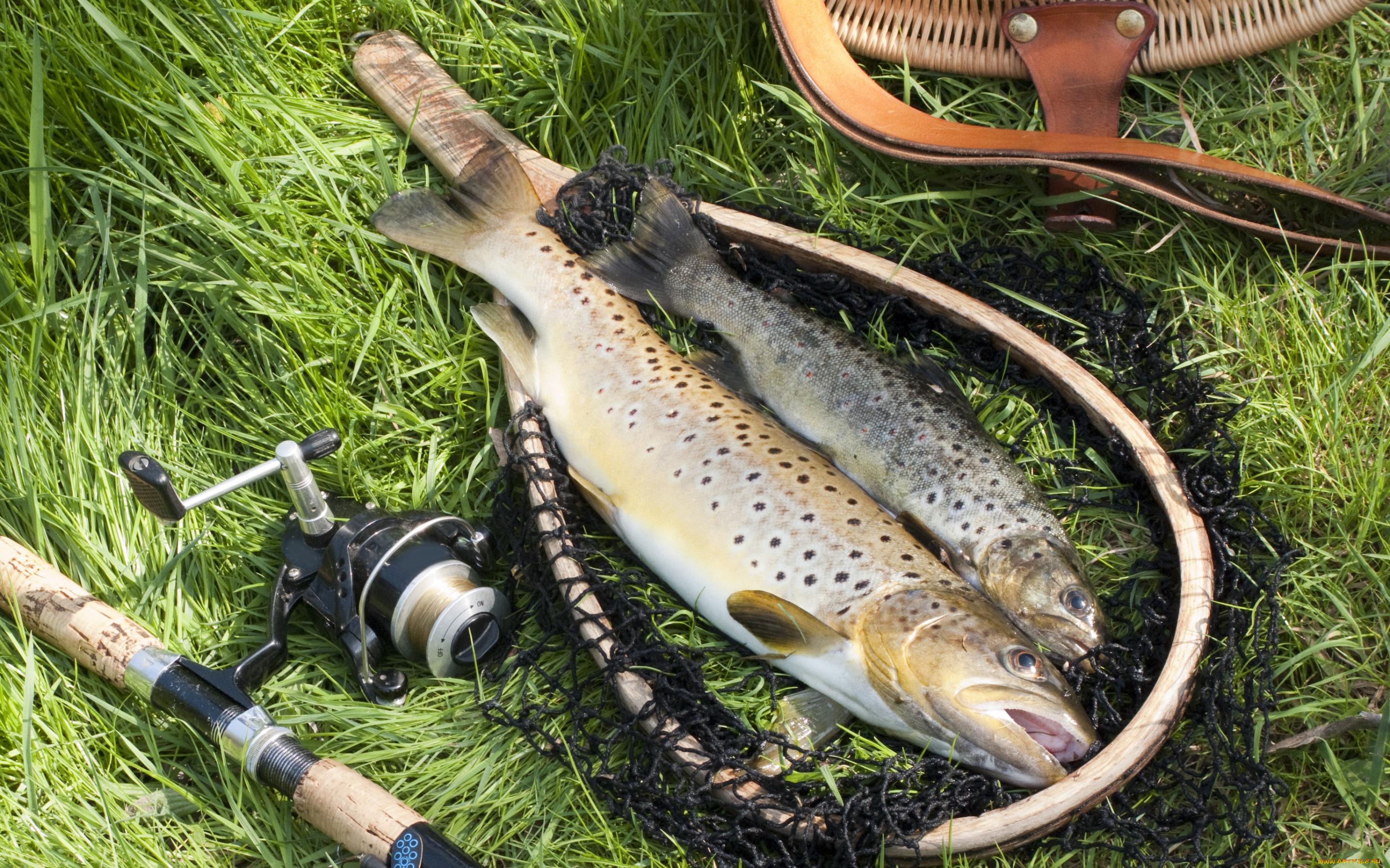 разное, рыбалка, , рыбаки, , улов, , снасти, улов