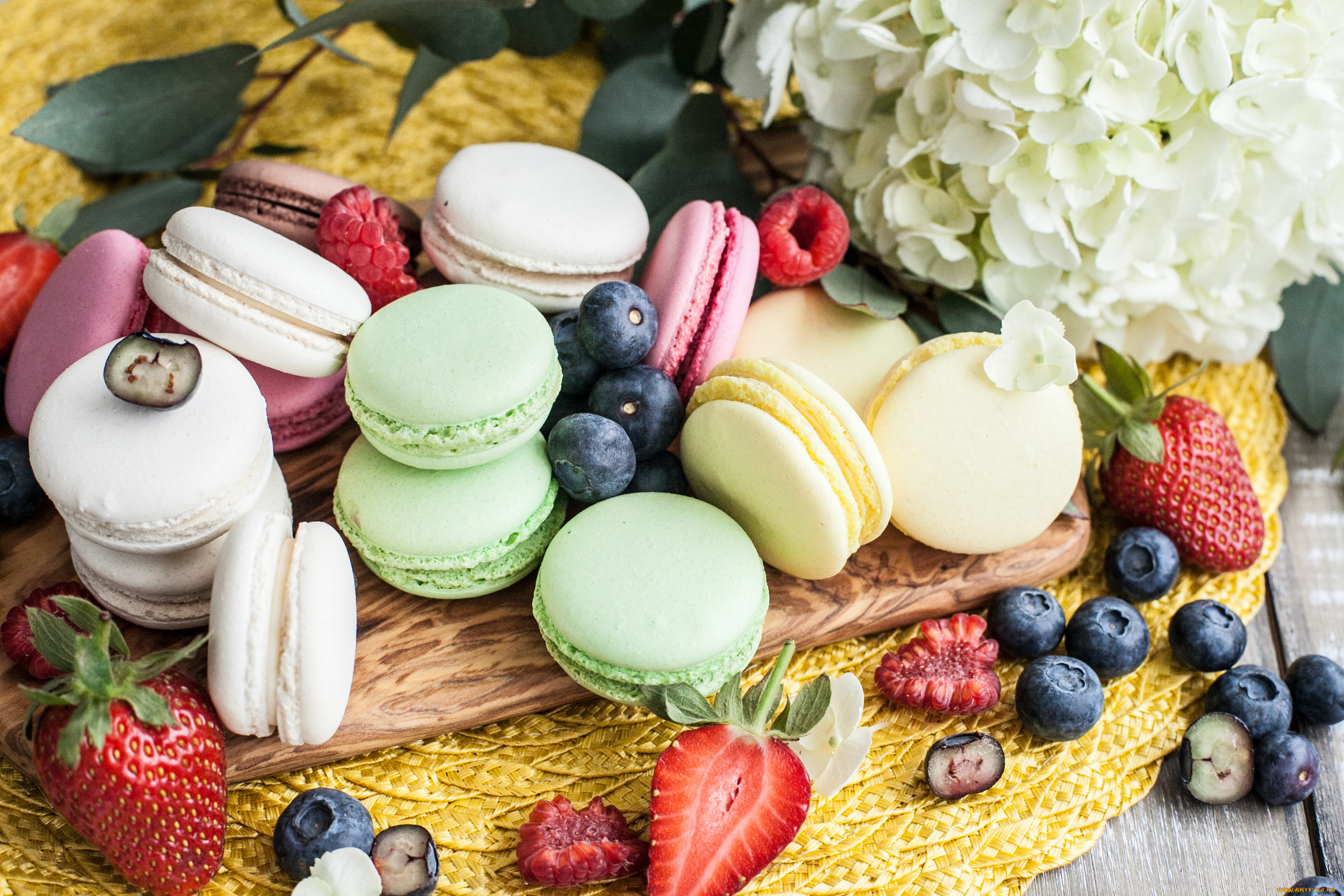 еда, макаруны, пирожное, сладость, цветок, ягоды