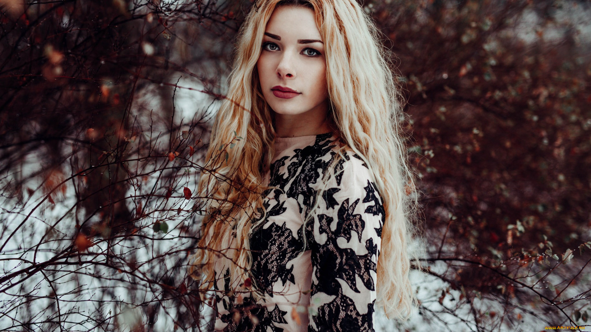 девушка, девушки, -unsort, , блондинки, , светловолосые, модель