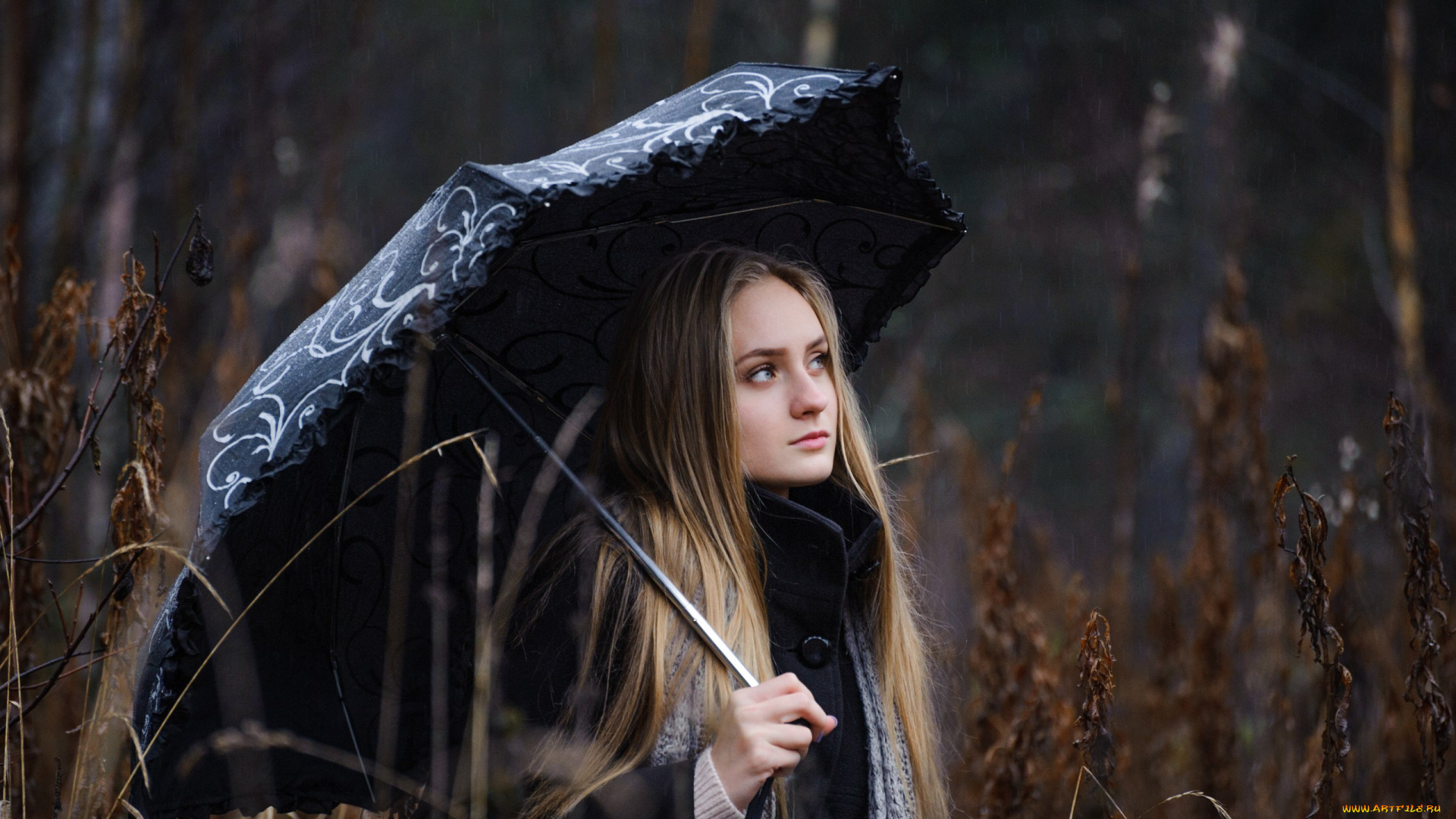 девушка, девушки, -unsort, , блондинки, , светловолосые, модель