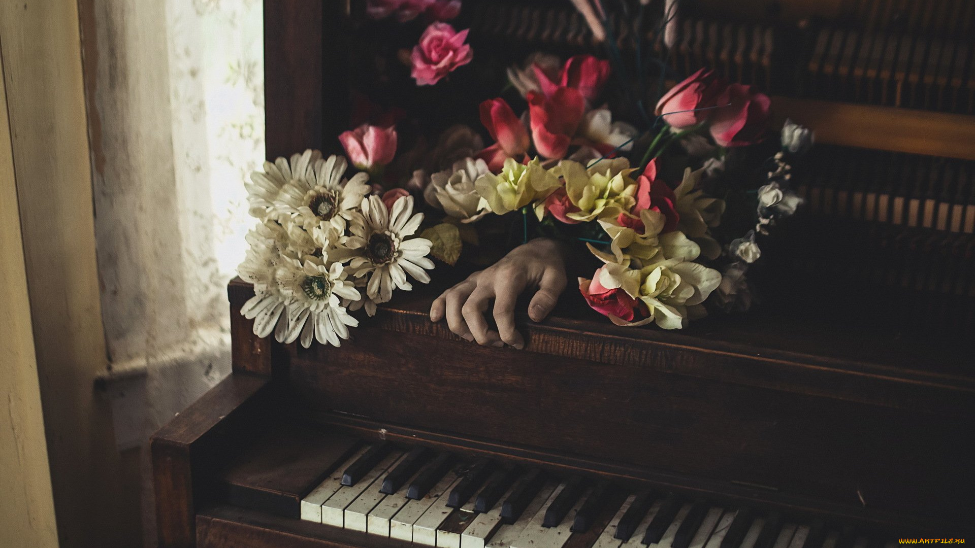 музыка, -музыкальные, инструменты, цветы, клавиши, комната, рука