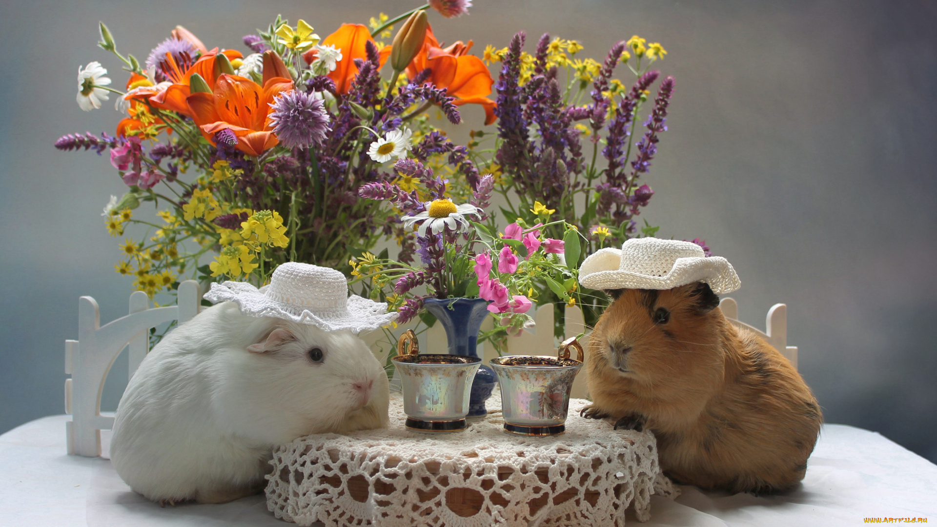 животные, морские, свинки, , хомяки, цветы, морские, свинки, пара, букет