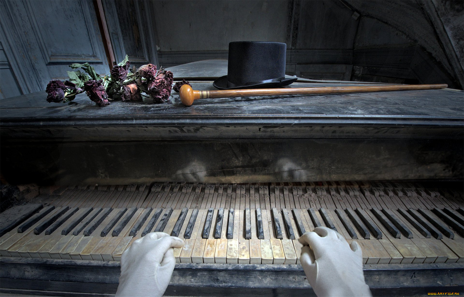 музыка, -музыкальные, инструменты, пианино, цветы, трость, шляпа, руки