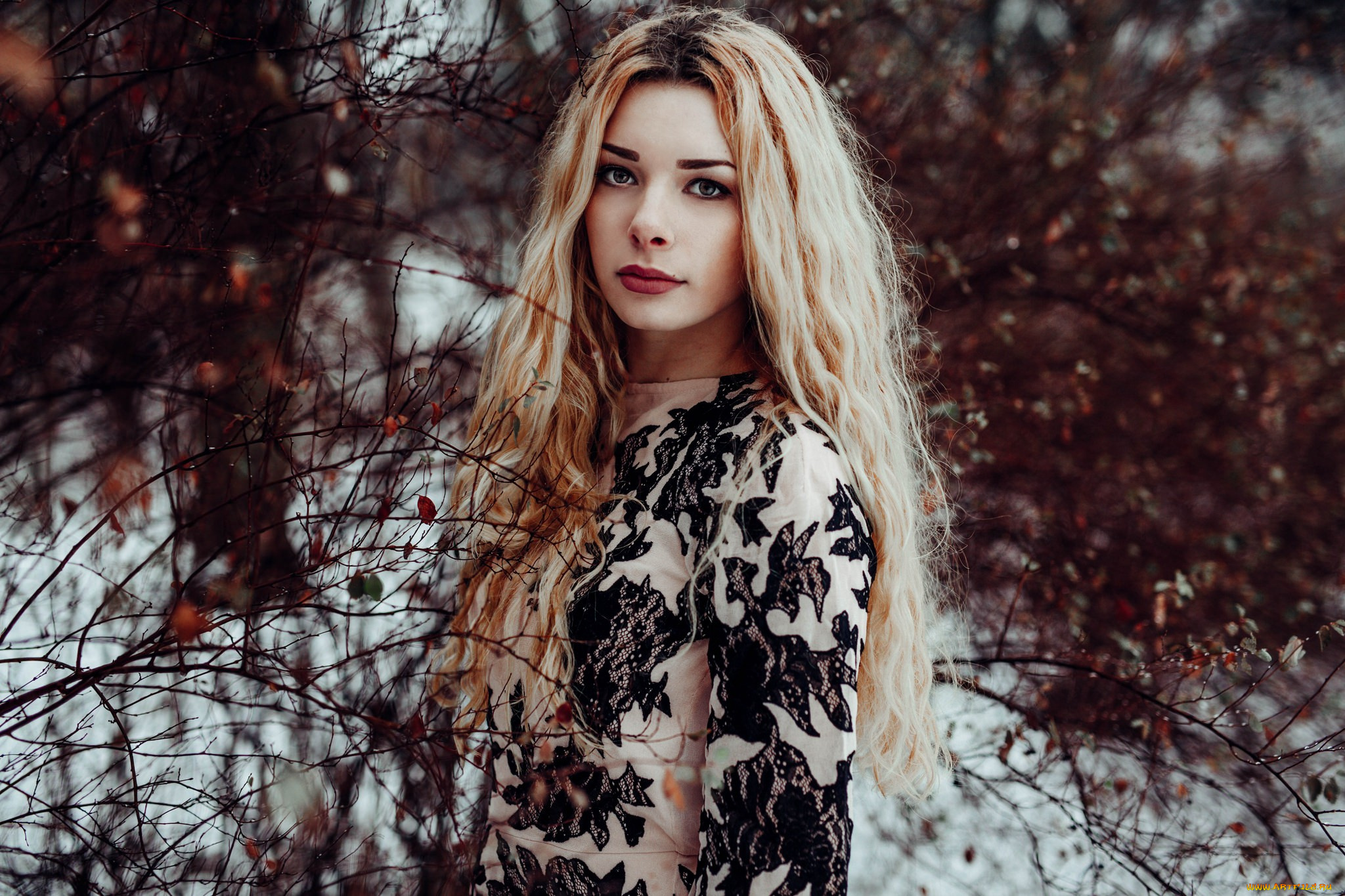 девушка, девушки, -unsort, , блондинки, , светловолосые, модель