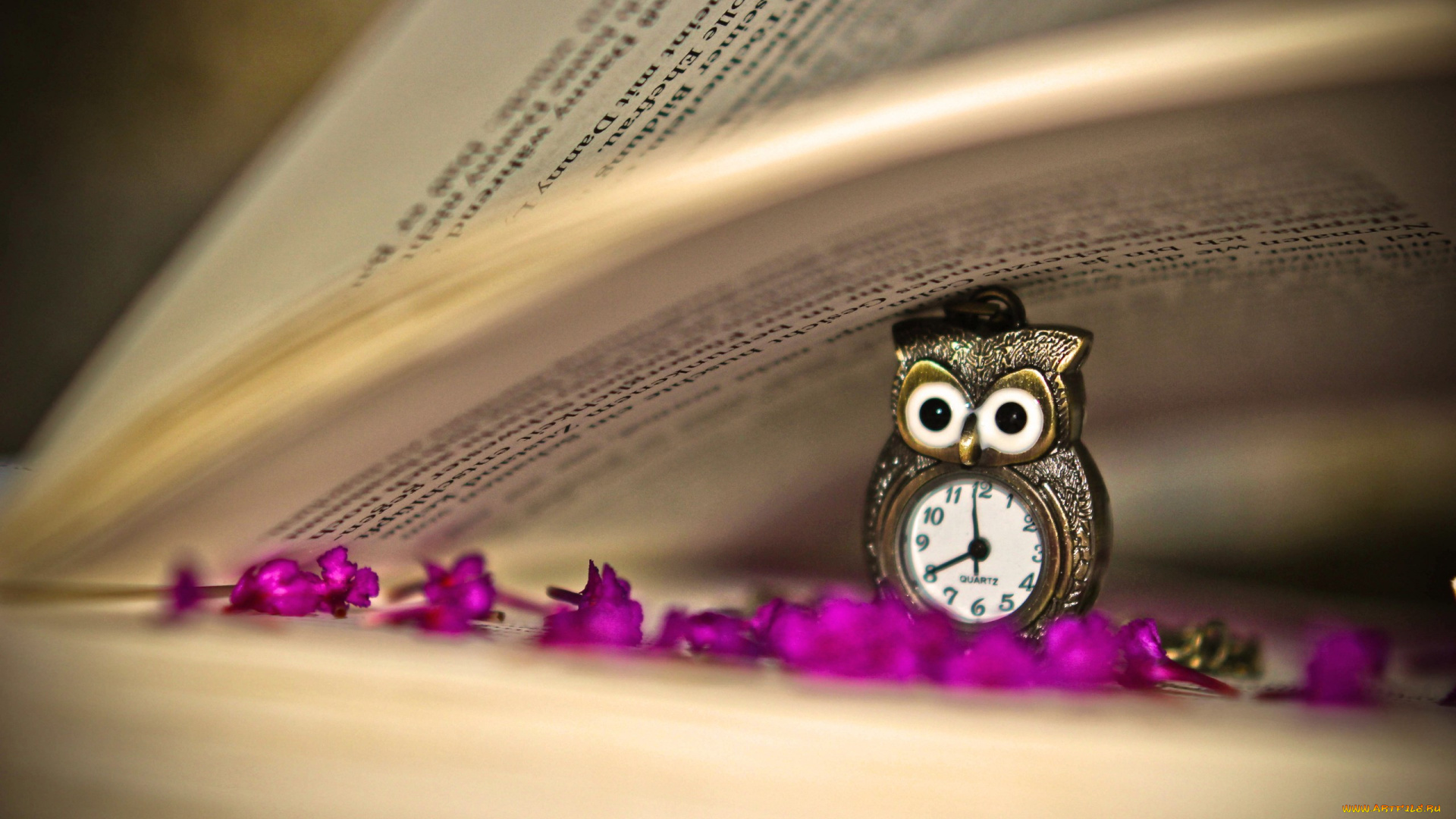разное, часы, , часовые, механизмы, книга, сова, цветы
